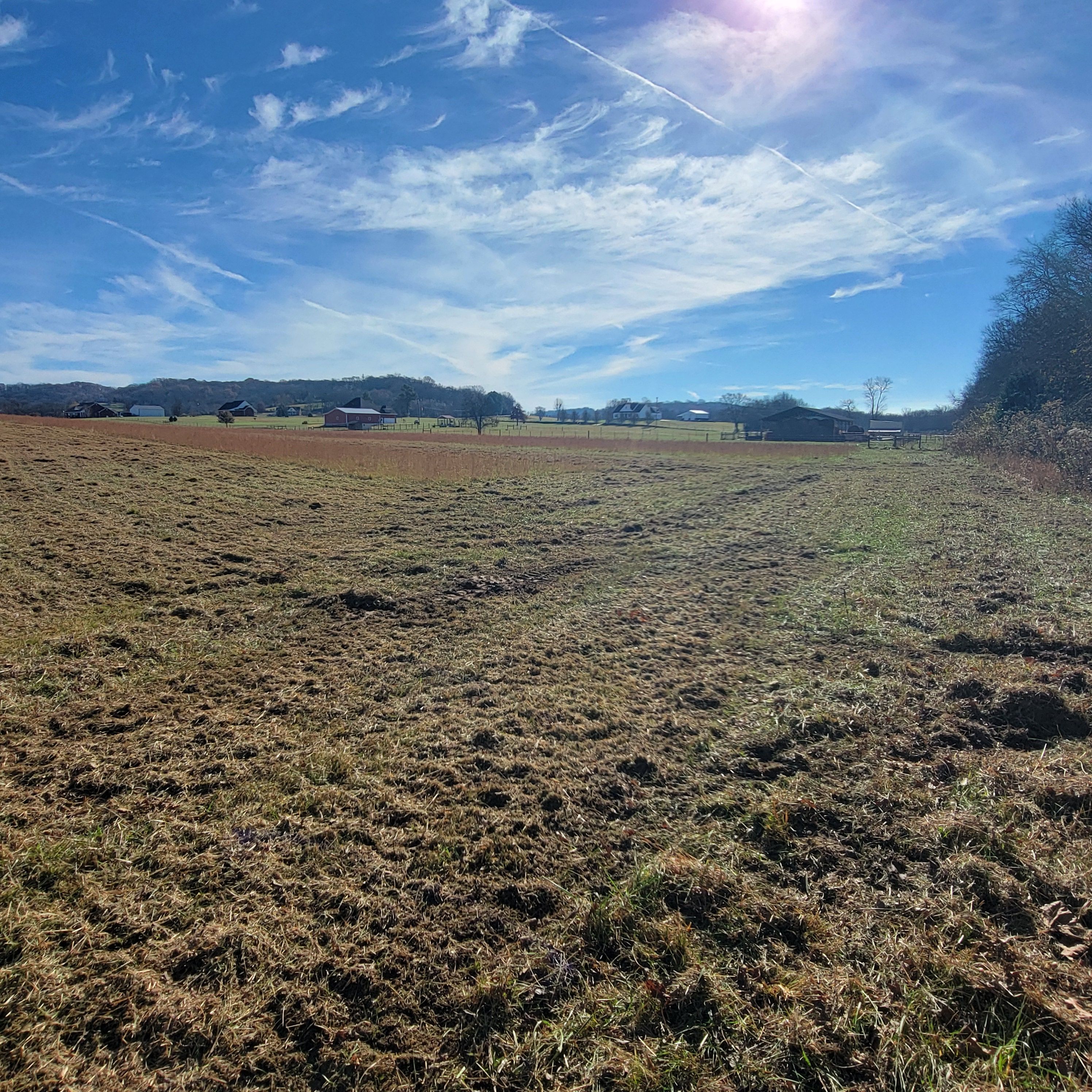  for Z's Land Management & Forestry Mulching in Smithville, TN