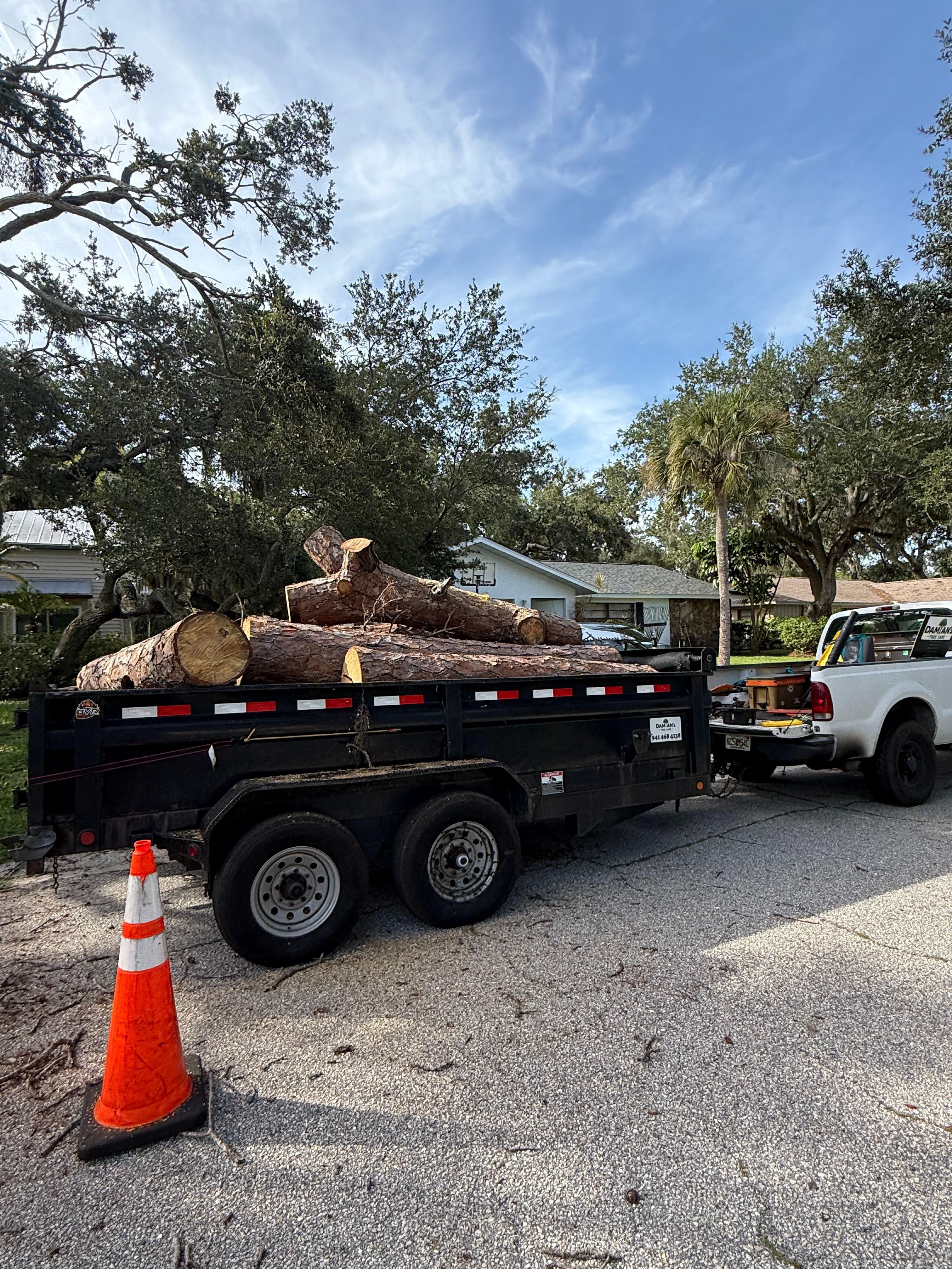  for Damian’s Tree Care in Sarasota, FL