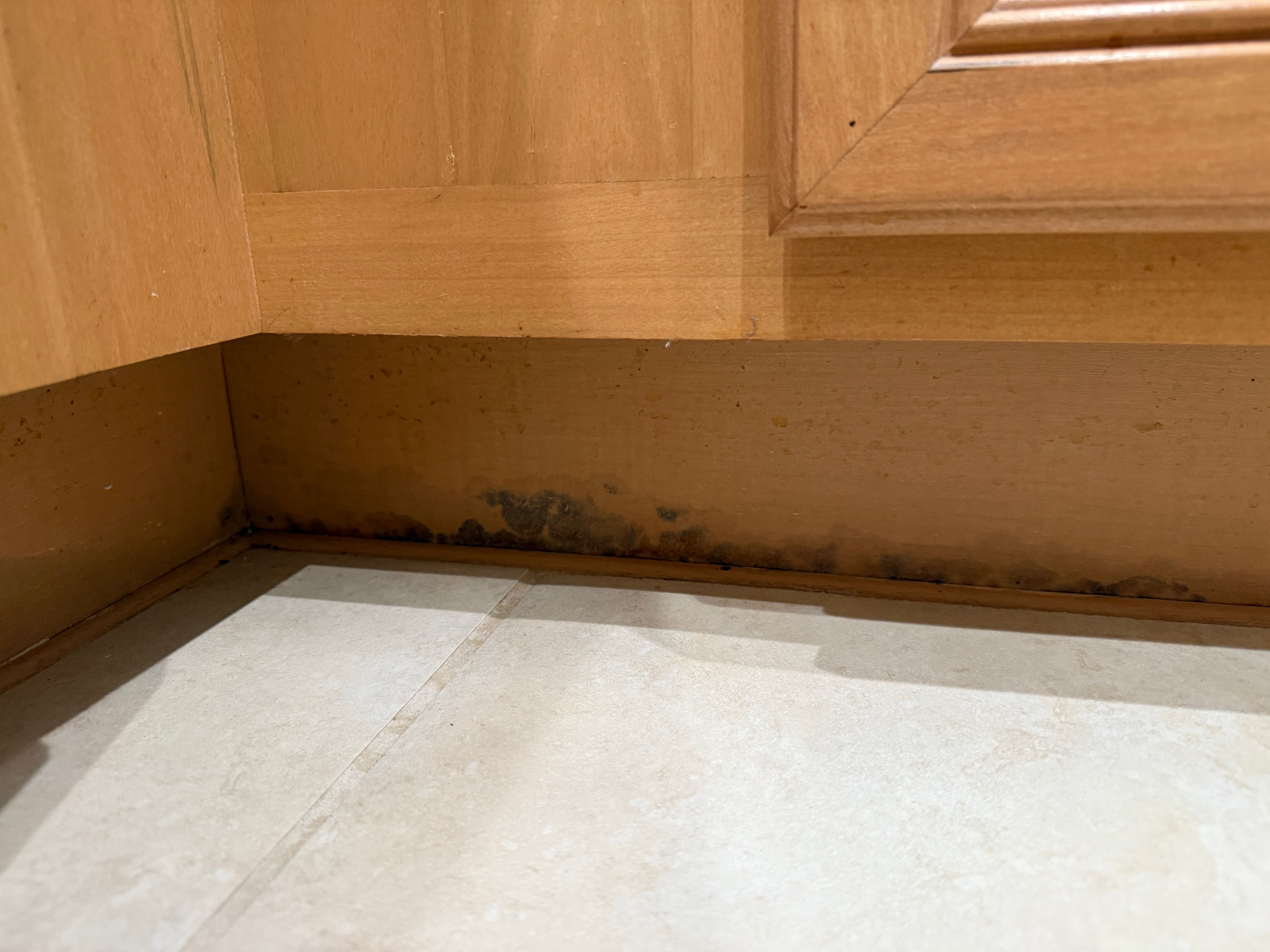  for N&D Restoration Services When Disaster Strikes, We Come In in Cape Coral,  FL