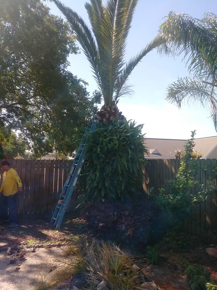  for Mitchell Maintenance in Dickinson, TX