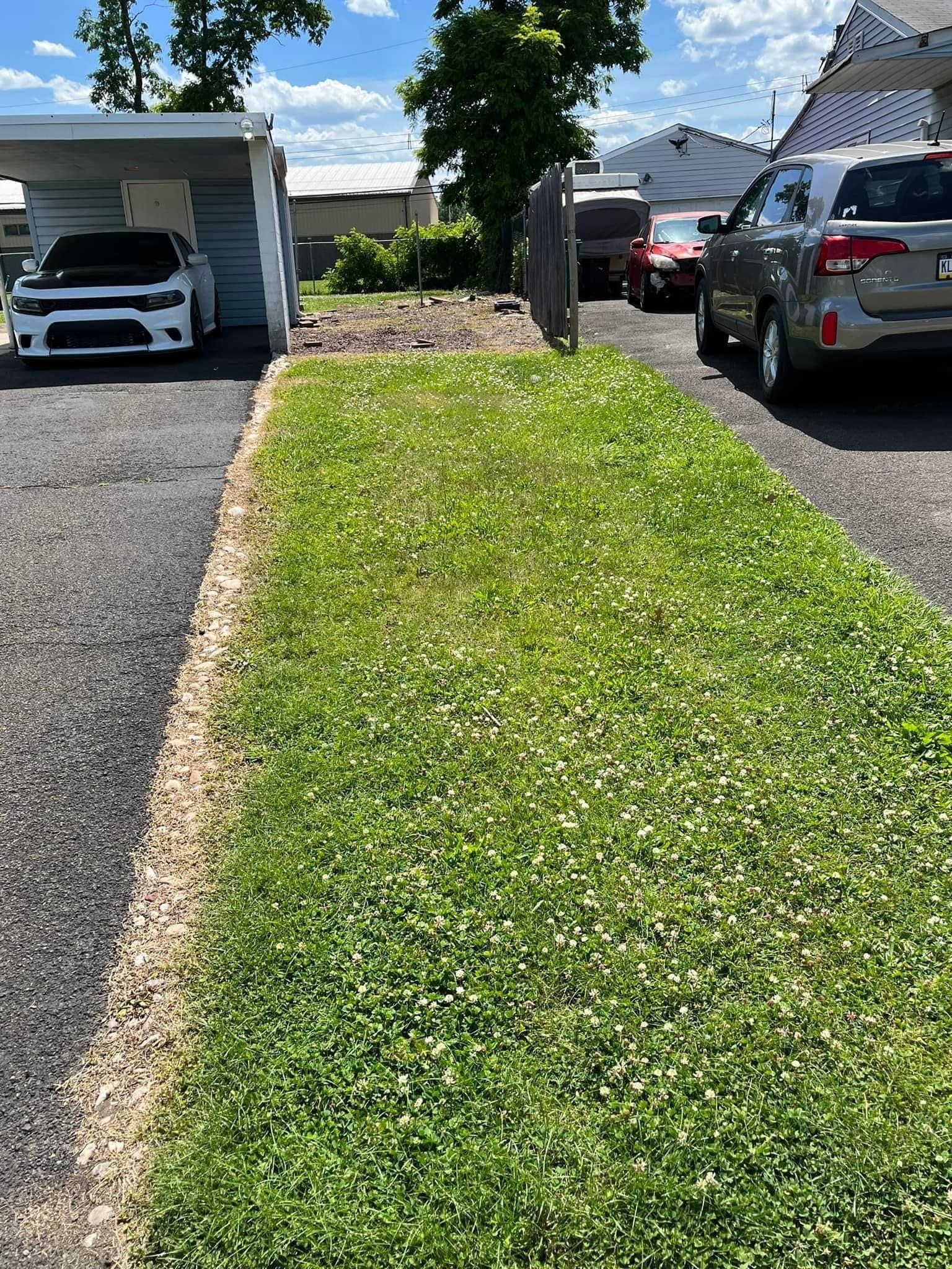  for Russo’s Landscaping & Tree Removal in Levittown, PA