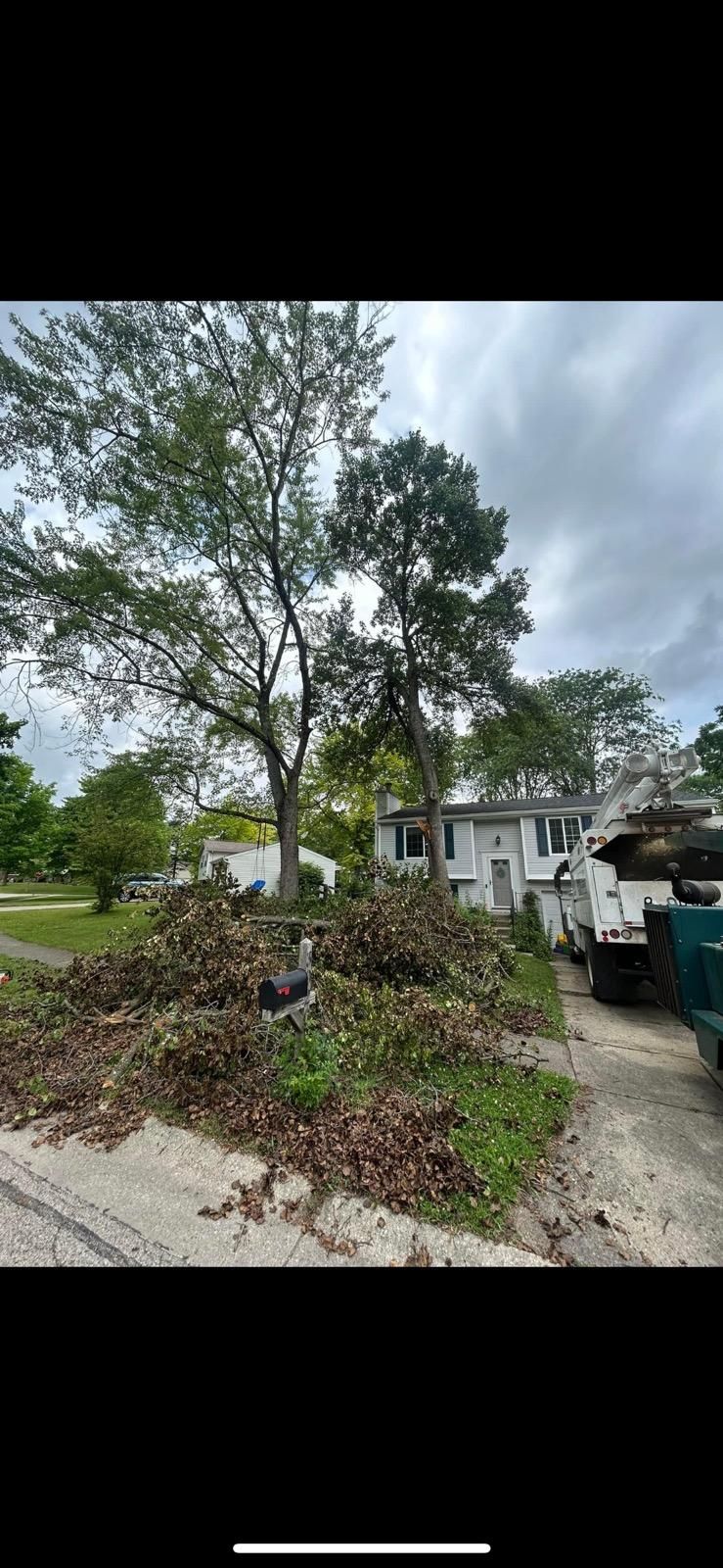  for Dig-It Tree Company in , 