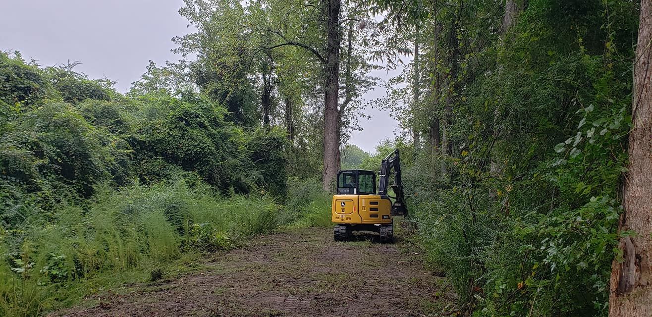 All Photos for TJ Farm and Land Management in Loris, SC