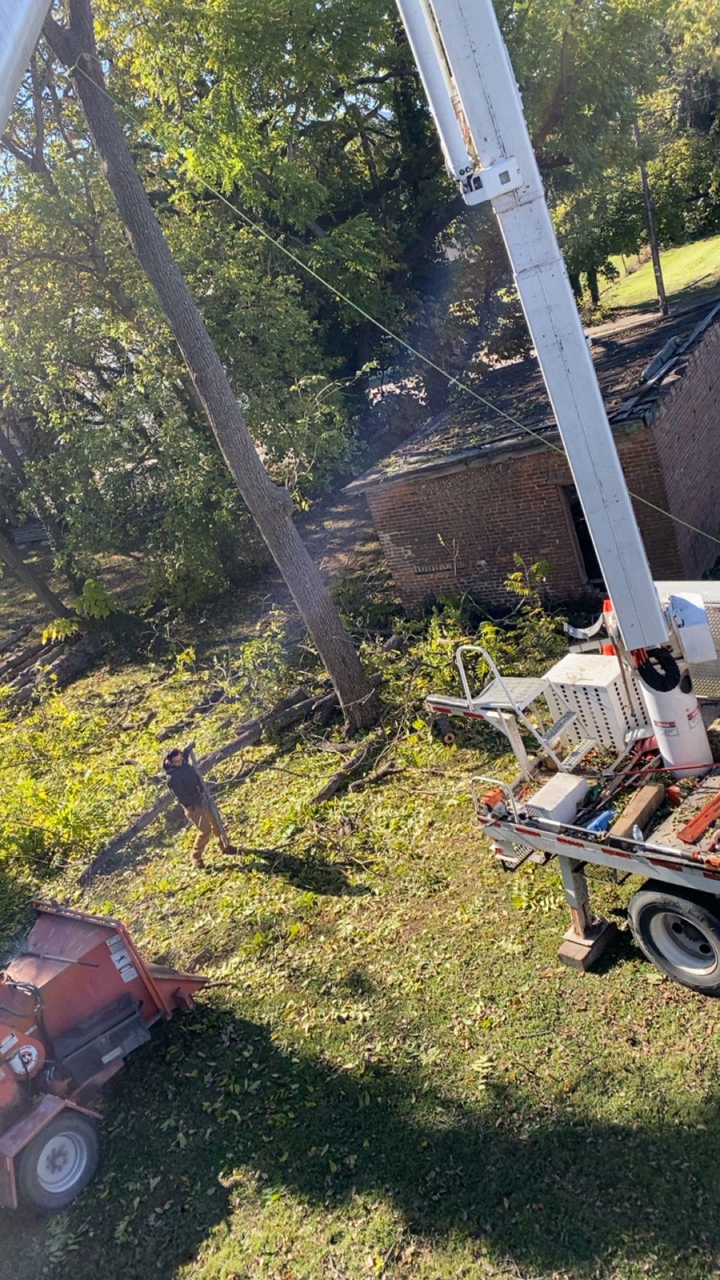 All Photos for Gray's Tree Service Inc in Maurertown, VA