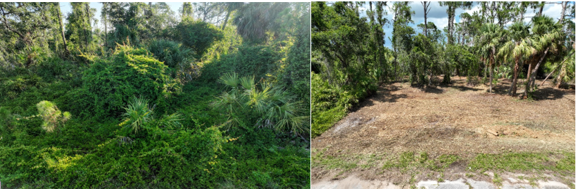 All Photos for SWF Land Clearing Solutions in Fort Myers, FL