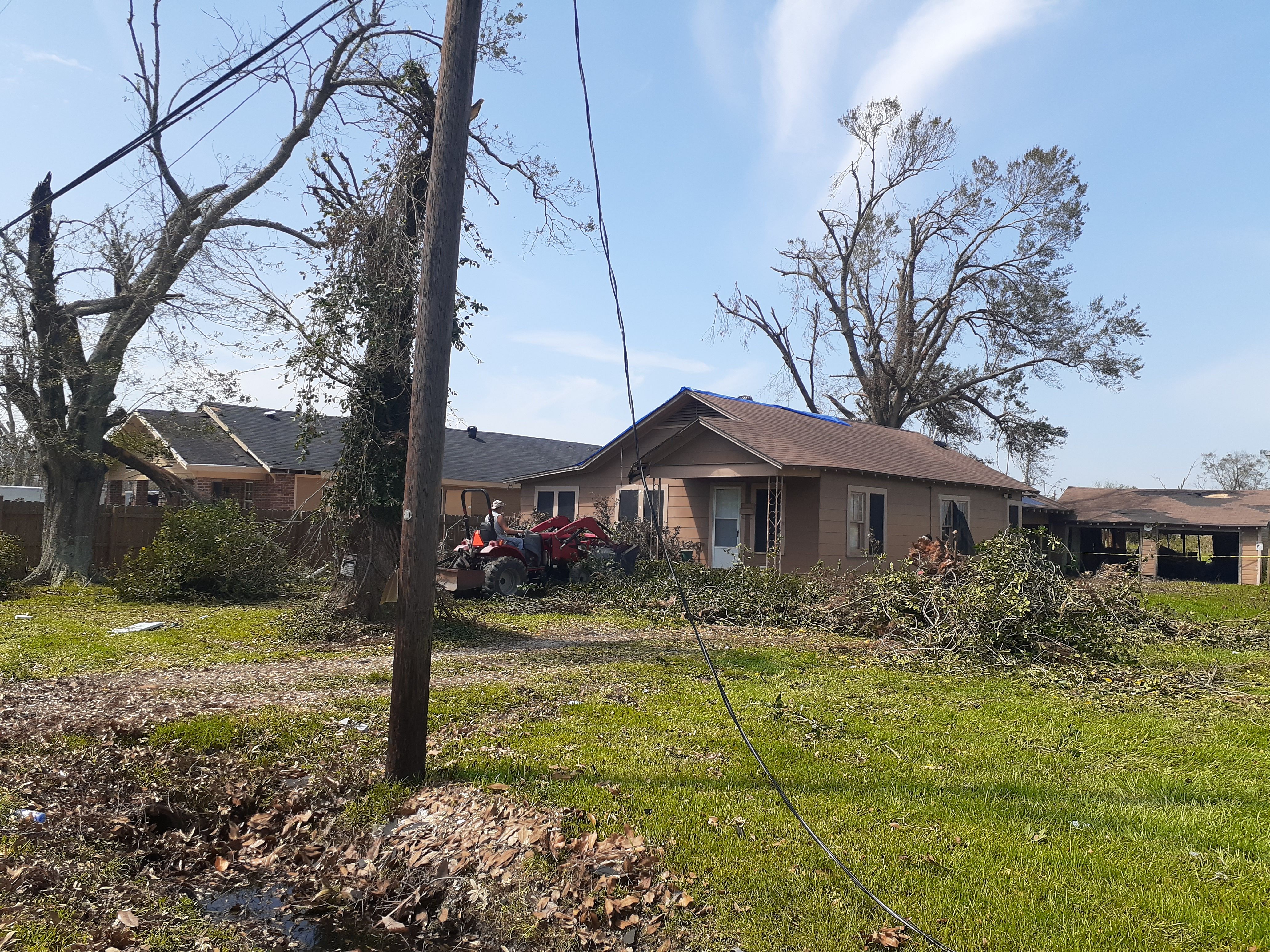  for Professional Tree Service USA in Chattanooga, TN