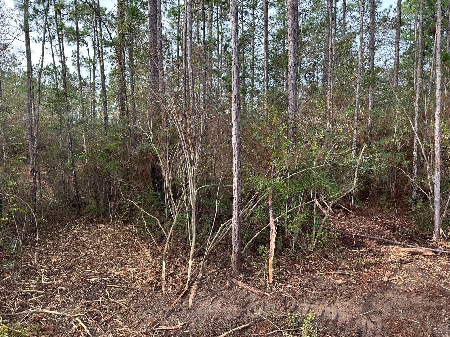 All Photos for White’s Land Maintenance in Milton,, FL