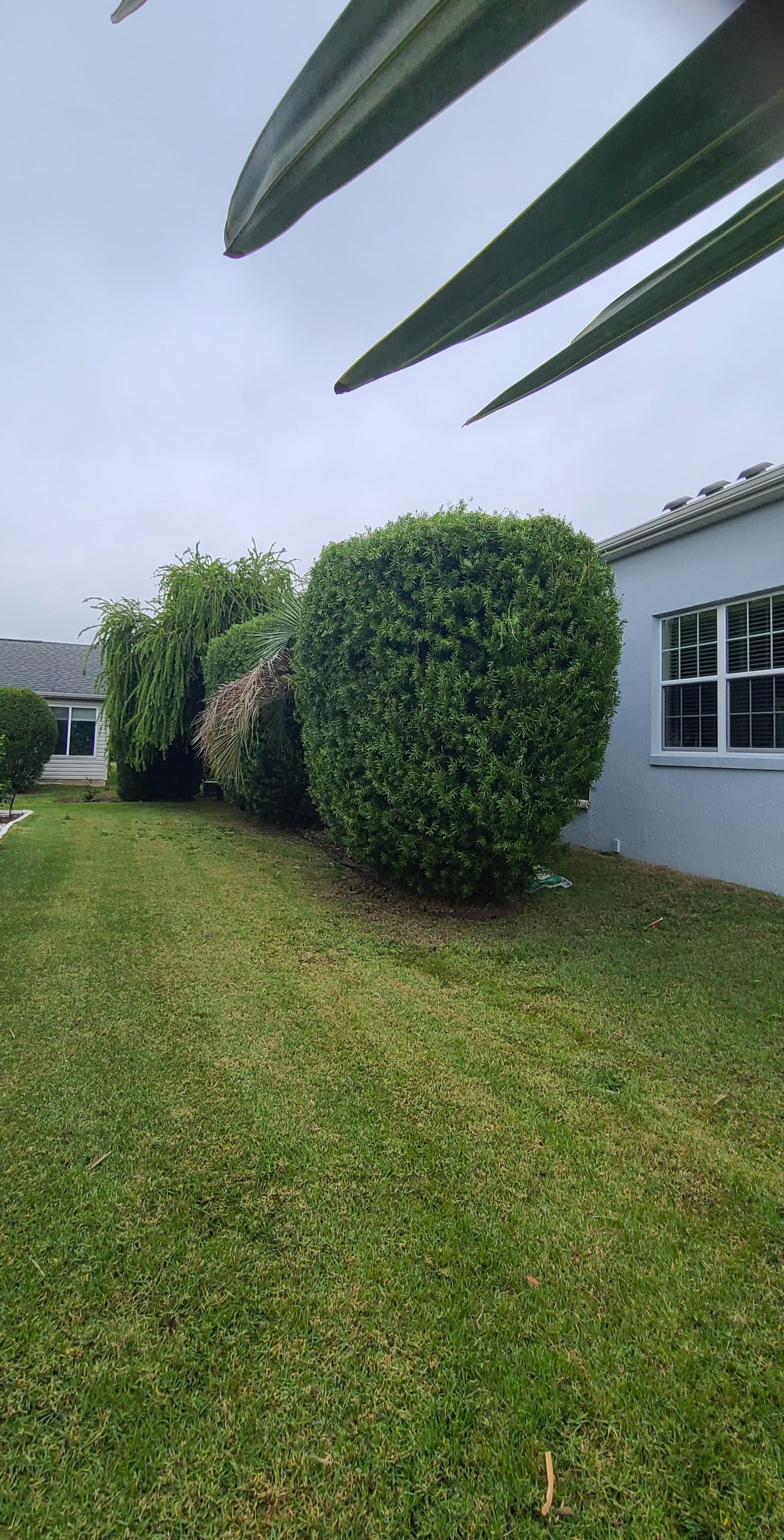  for TopNotch Landscaping Services  in The Villages, FL