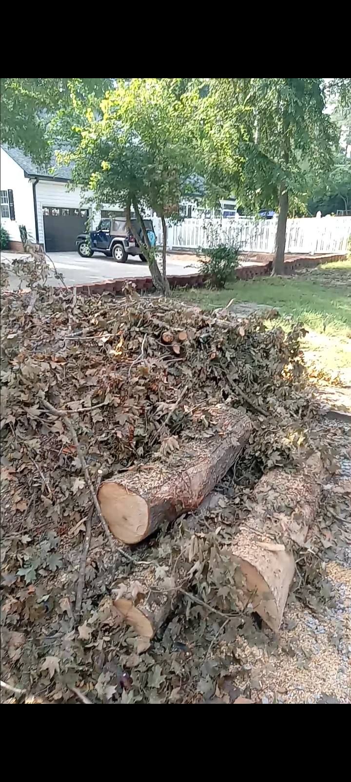 for Brothers On Point Lawn And Junk Removal in Wilson, NC