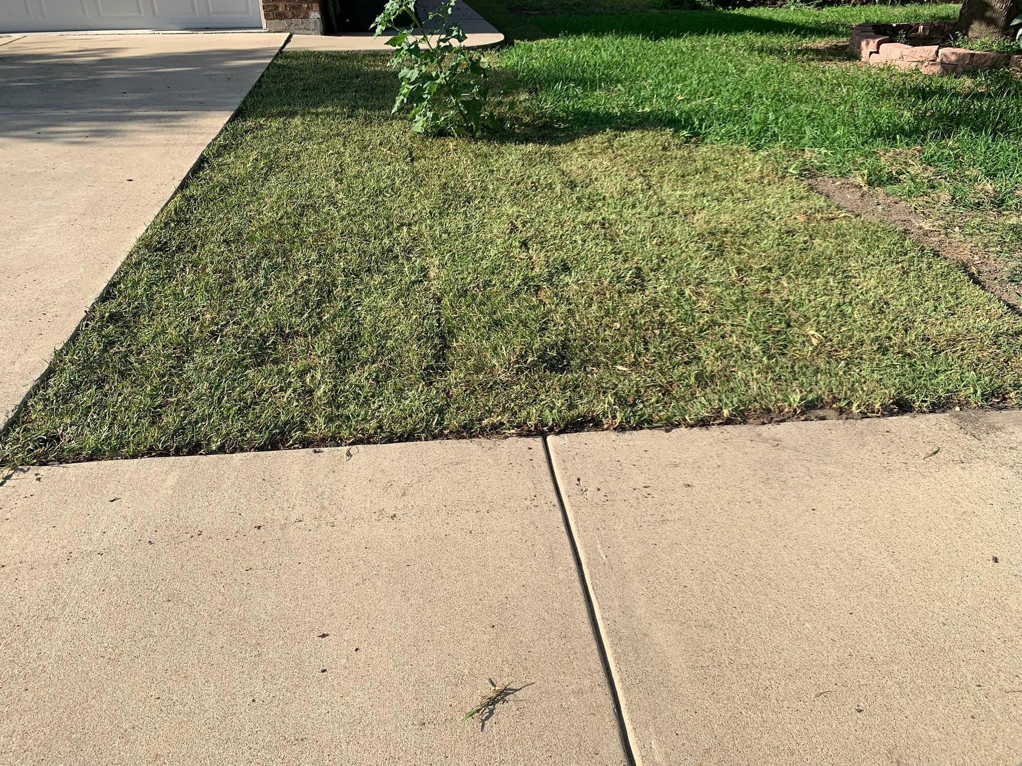  for Scalpel Lawn Service in Temple, TX