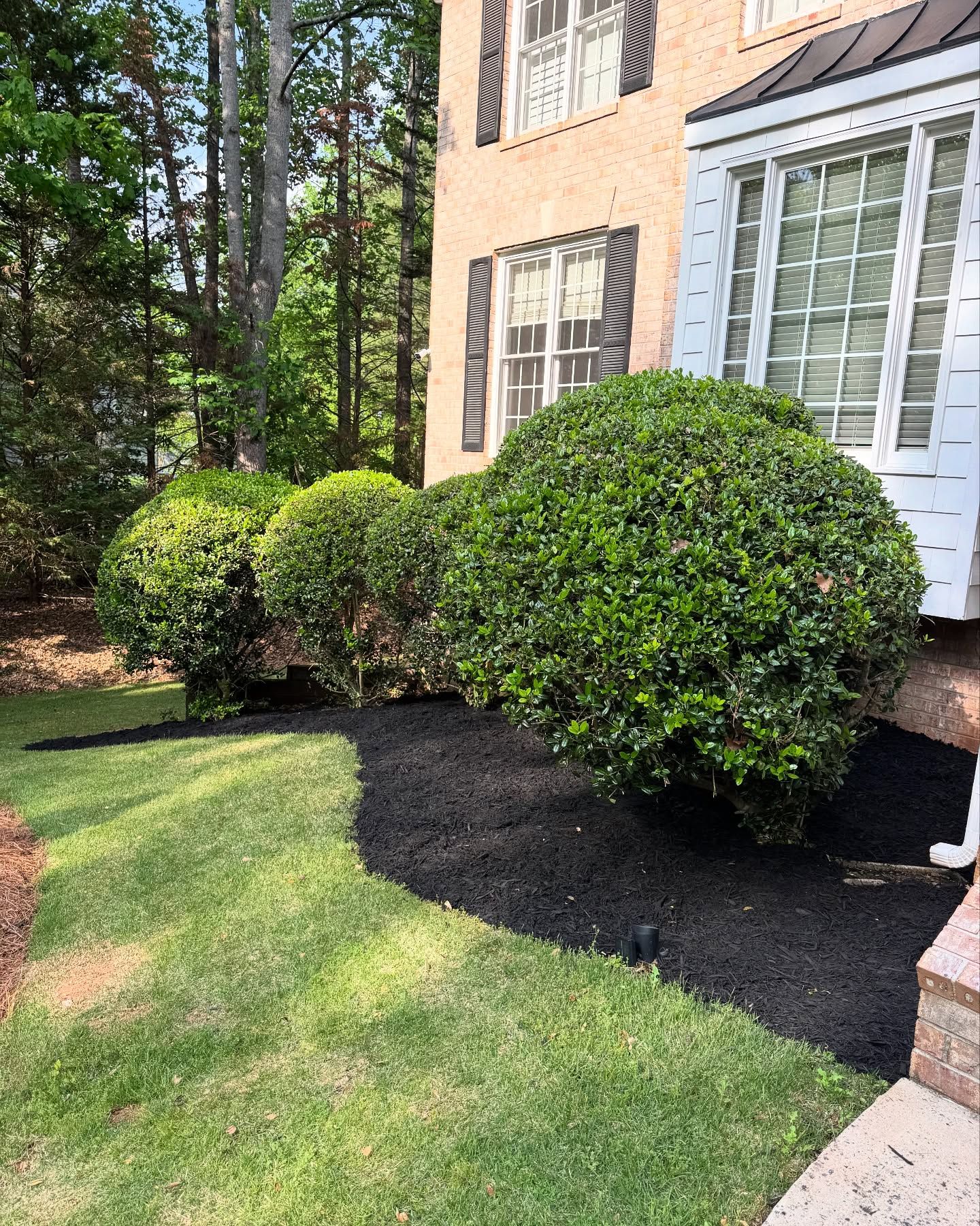 Landscaping for Bros With A Cause in Cumming, GA