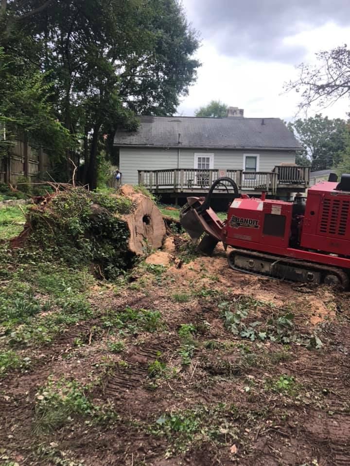  for Falcon stump grinding Tree services in Loganville, GA