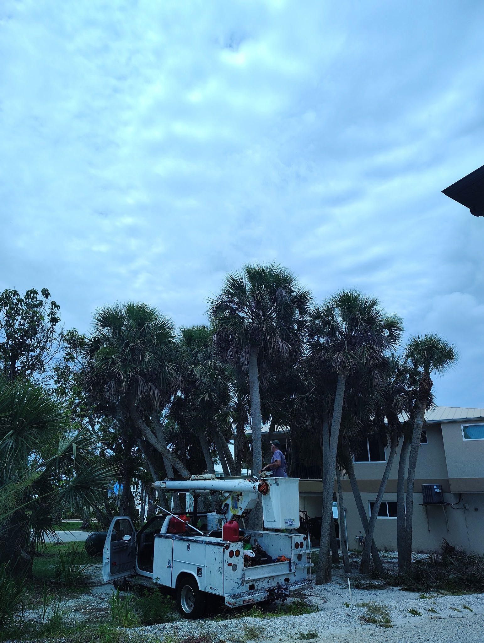  for Nick of Time Tree Service in North Port, FL