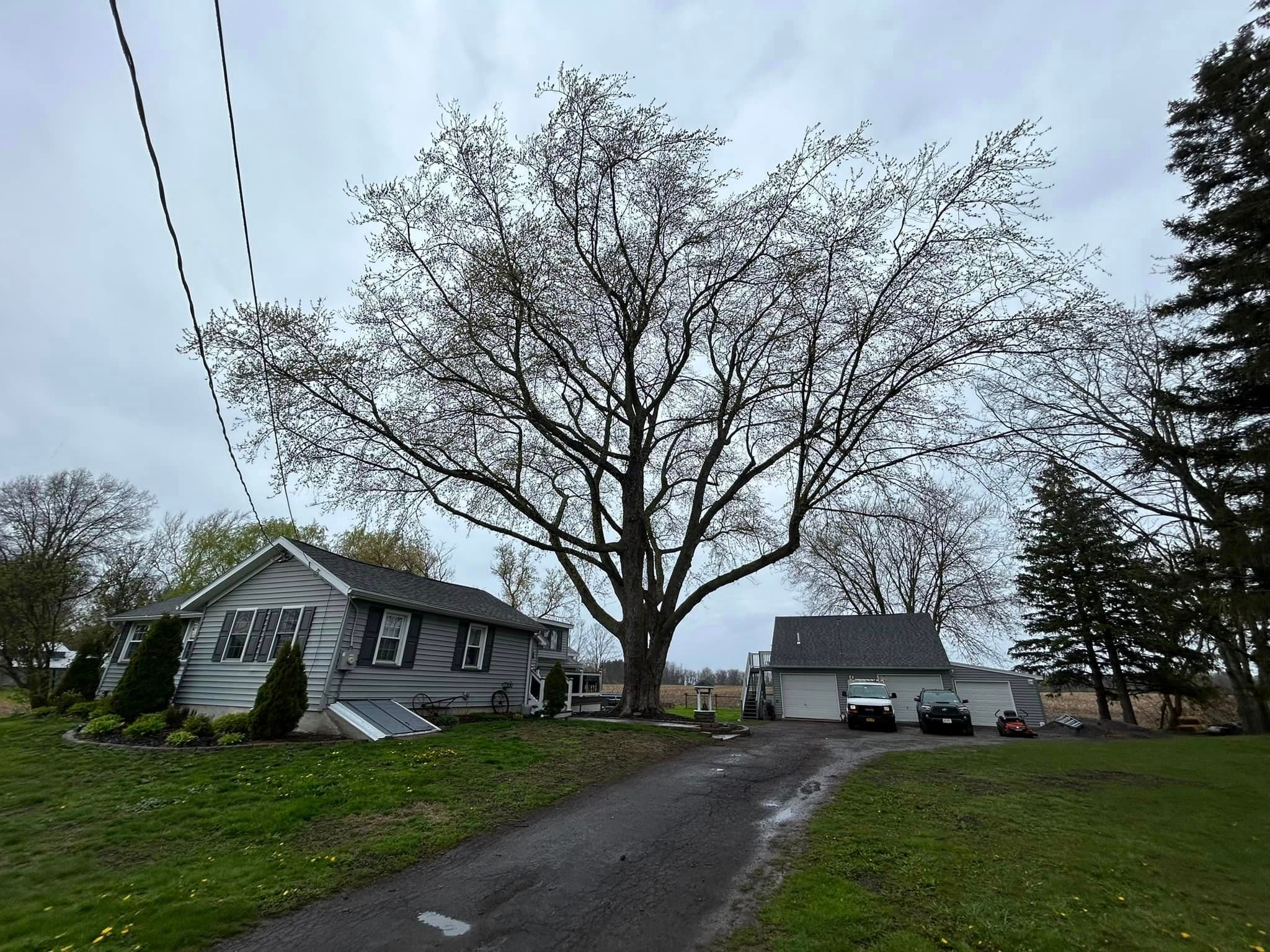  for S.H. Tree Service LLC in Hilton, NY