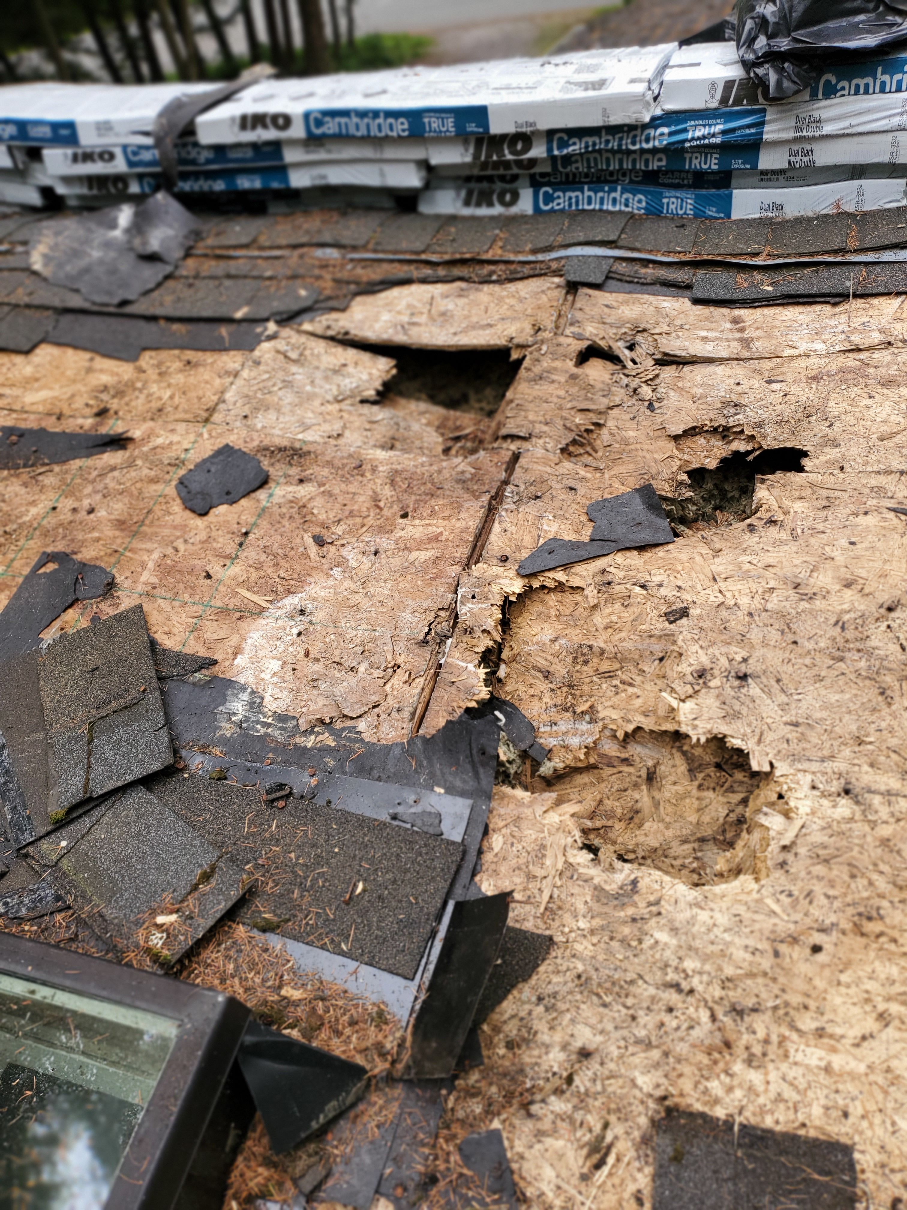  for Home Pros in Maple Falls, WA