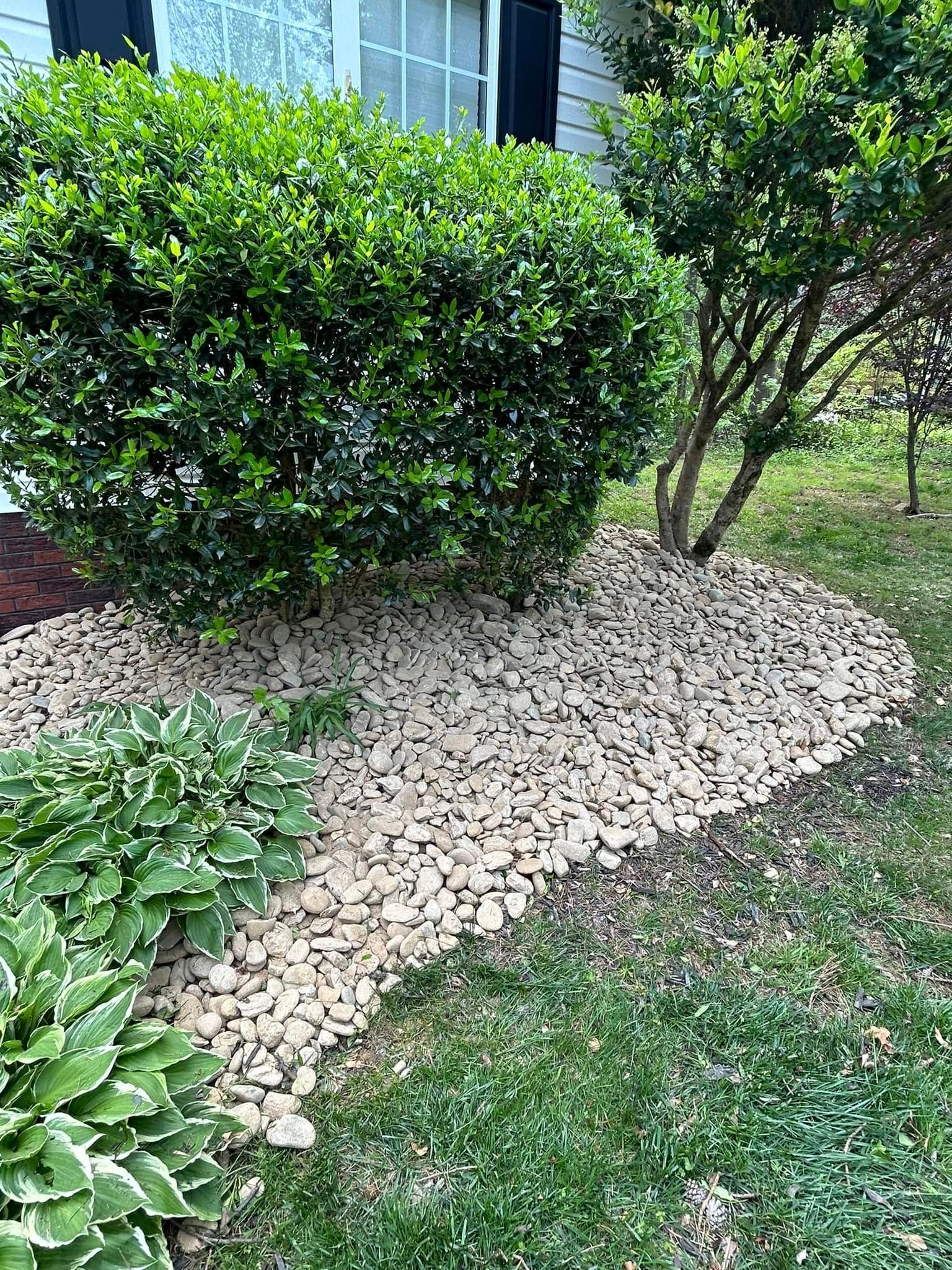 Landscaping for JMLP Lawn & Landscaping in Charlotte, NC