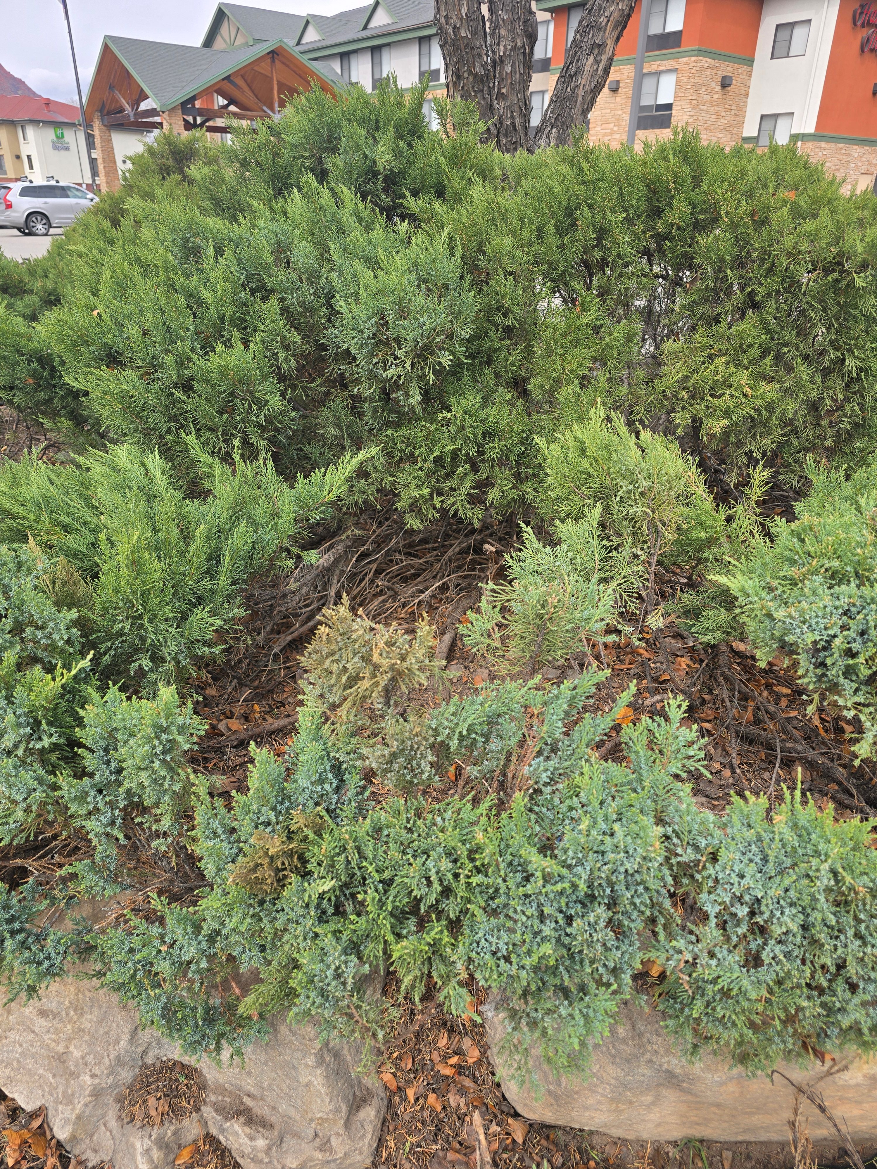 All Photos for LRS: Landscape, Rescue, Snow in Silt, CO