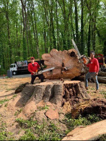  for Falcon stump grinding Tree services in Loganville, GA
