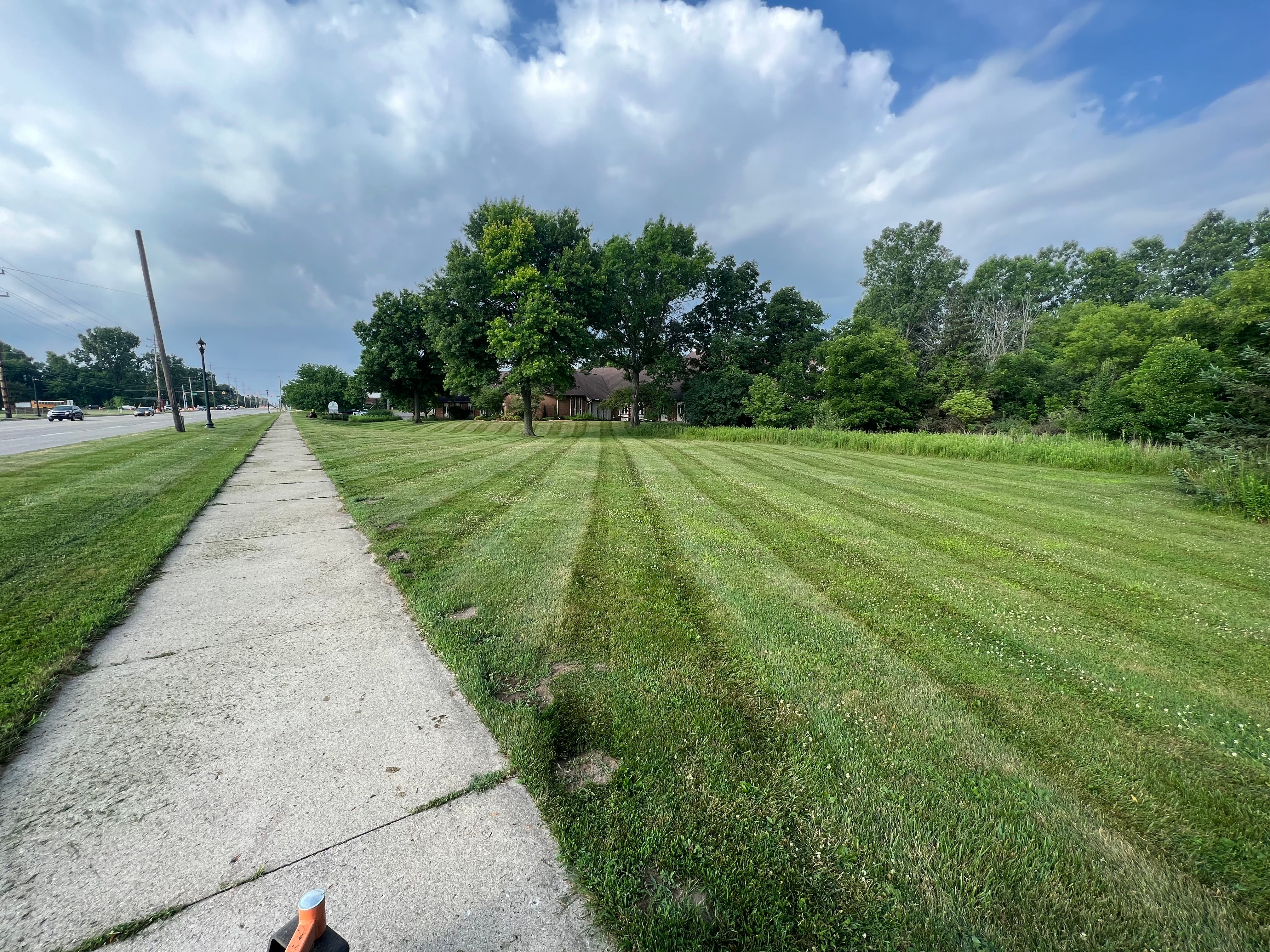  for Hammond Landscape in Okemos, MI