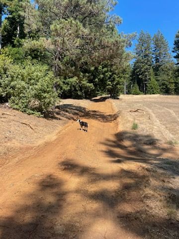  for Schaap Excavating in Gualala, CA