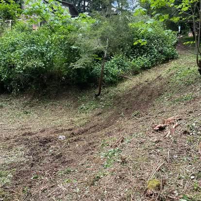  for Wilderness Stump Grinding in Orting, WA