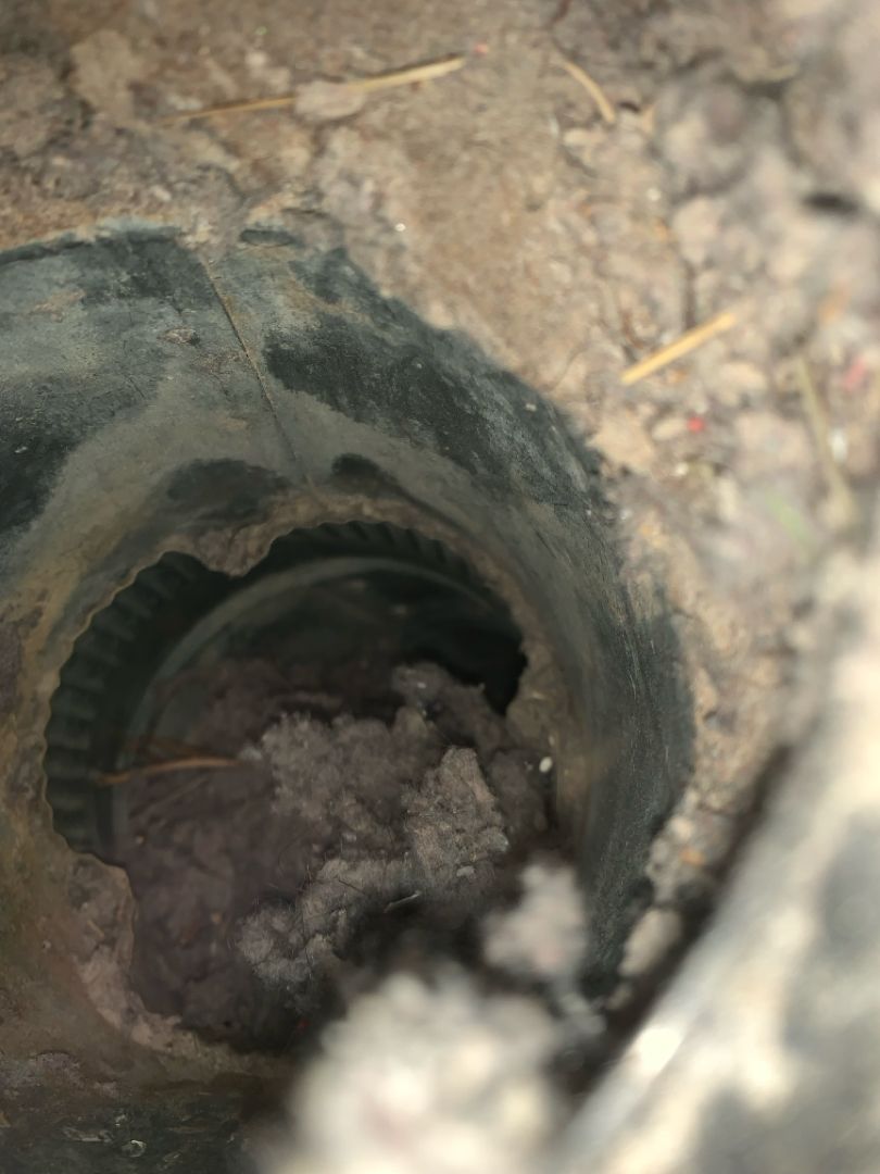 All Photos for Soapy Suds Services in St. Charles, IL