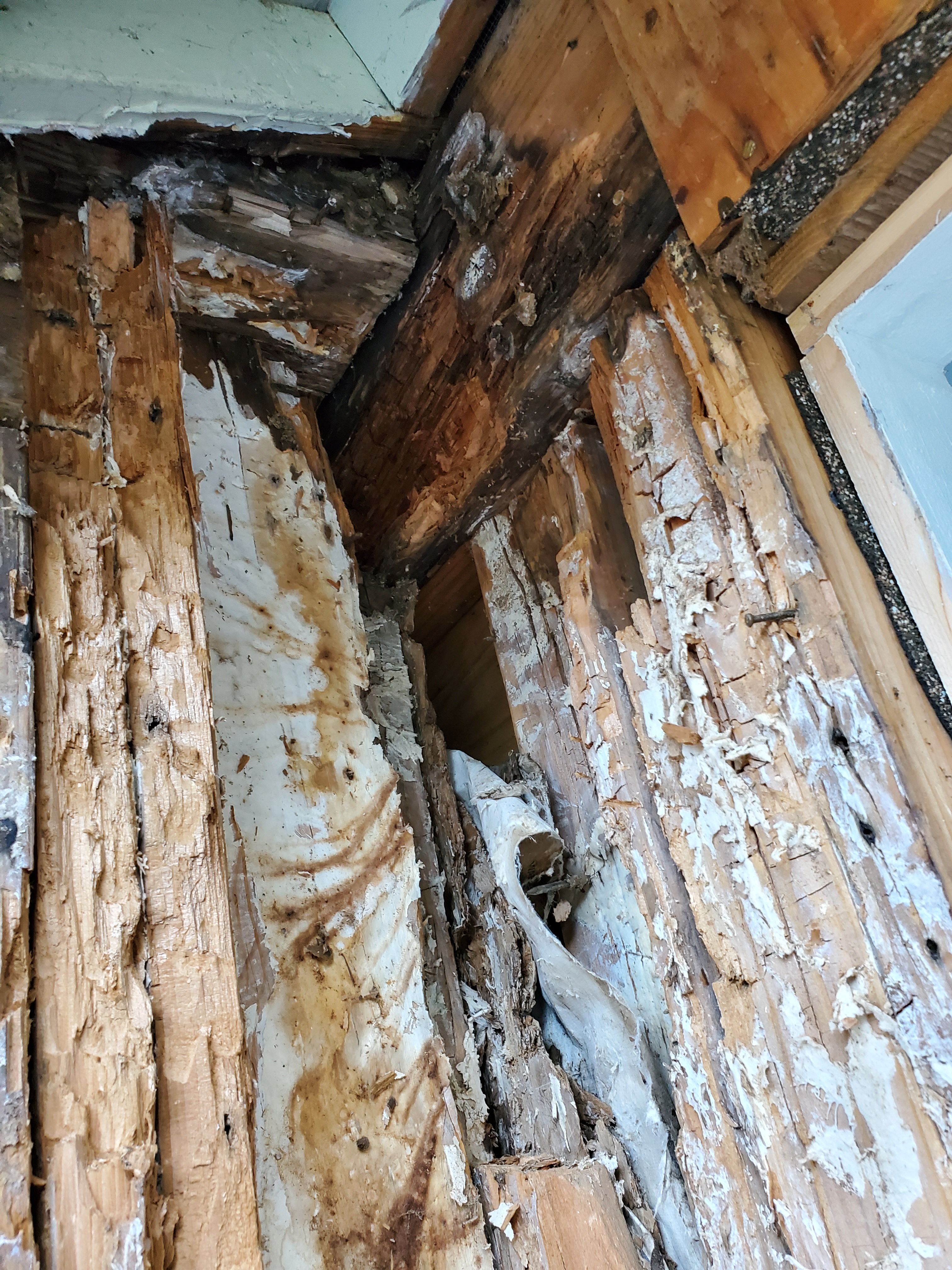  for Home Pros in Maple Falls, WA