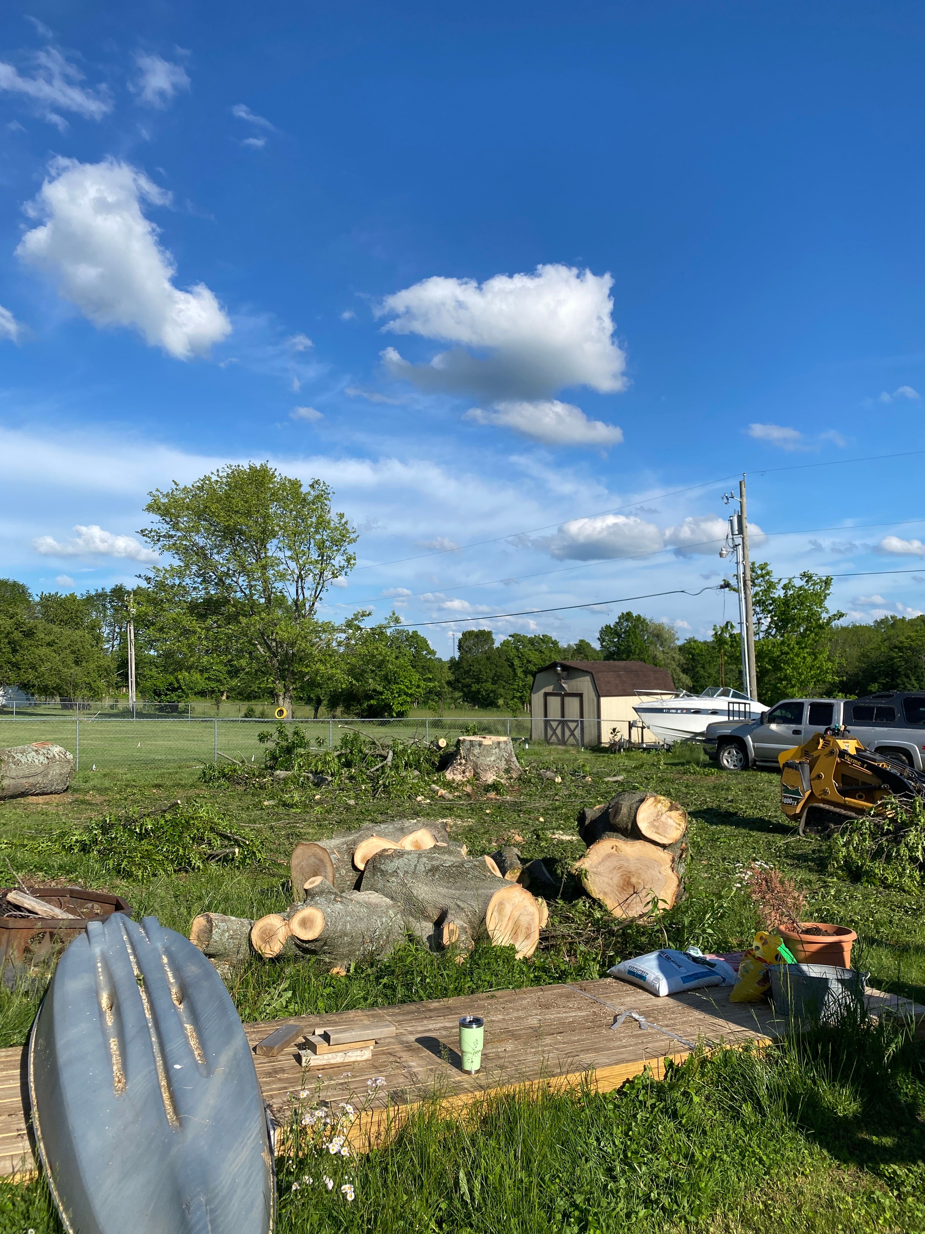 All Photos for Houtz Tree Service in Lexington, KY
