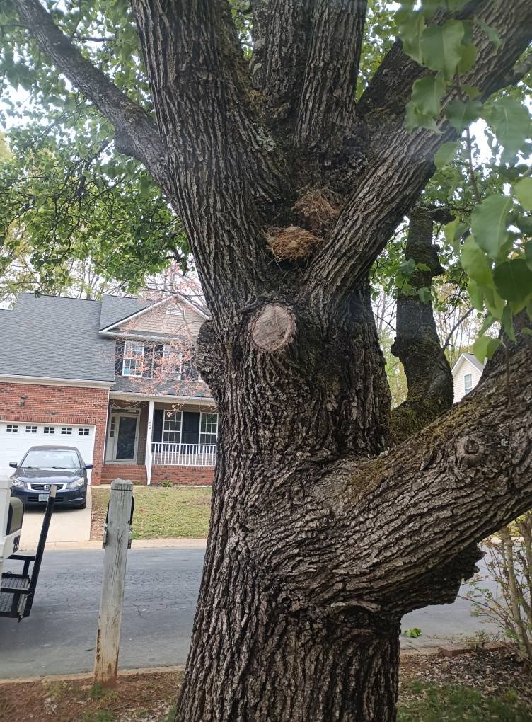  for Lindsey's Lawn Care in Inman, SC