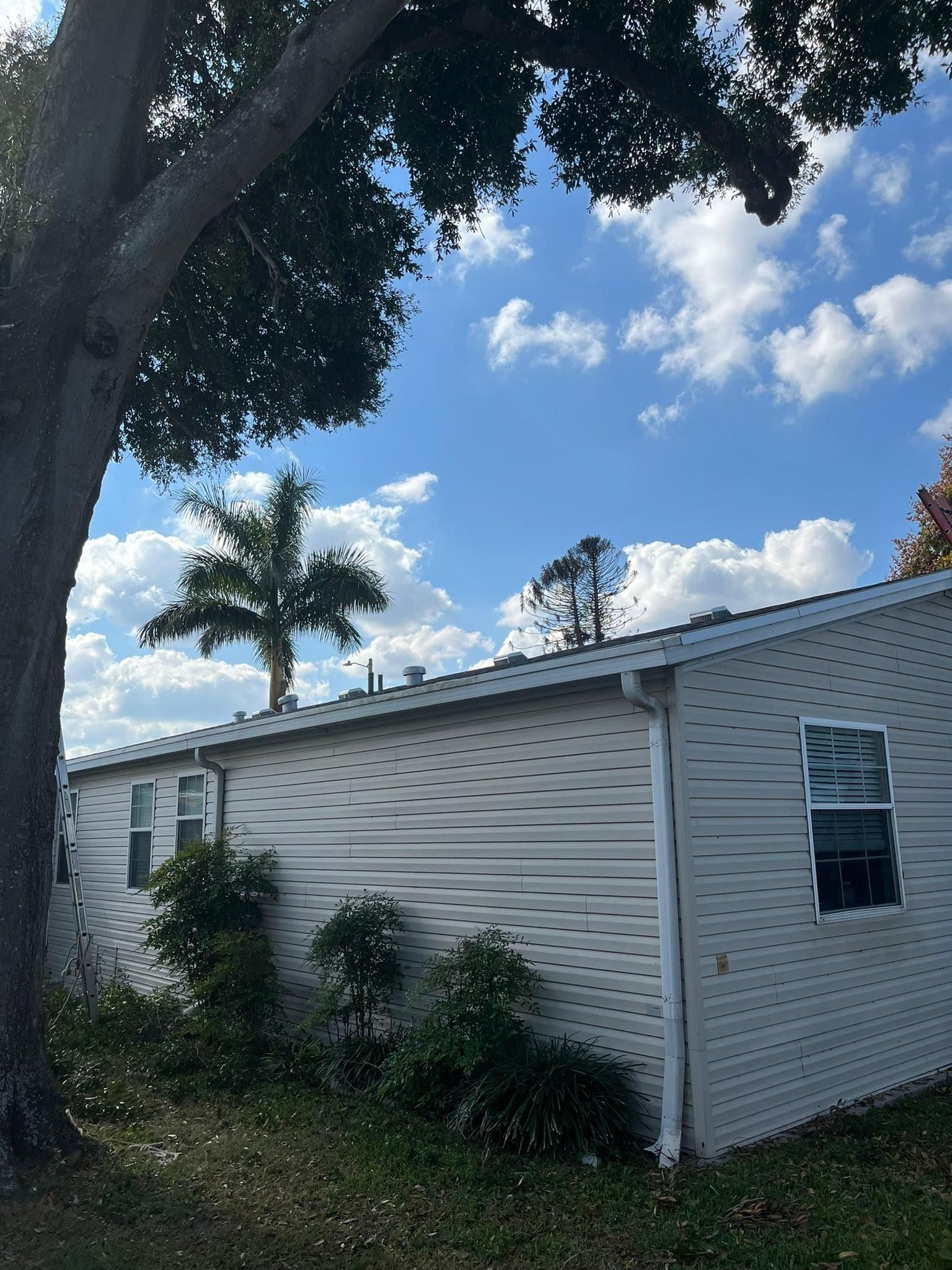  for Bills Tree Service in Valrico, FL