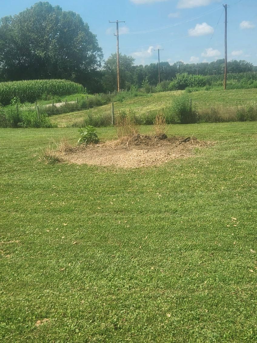  for I and R Stump Grinding in Thornville, OH