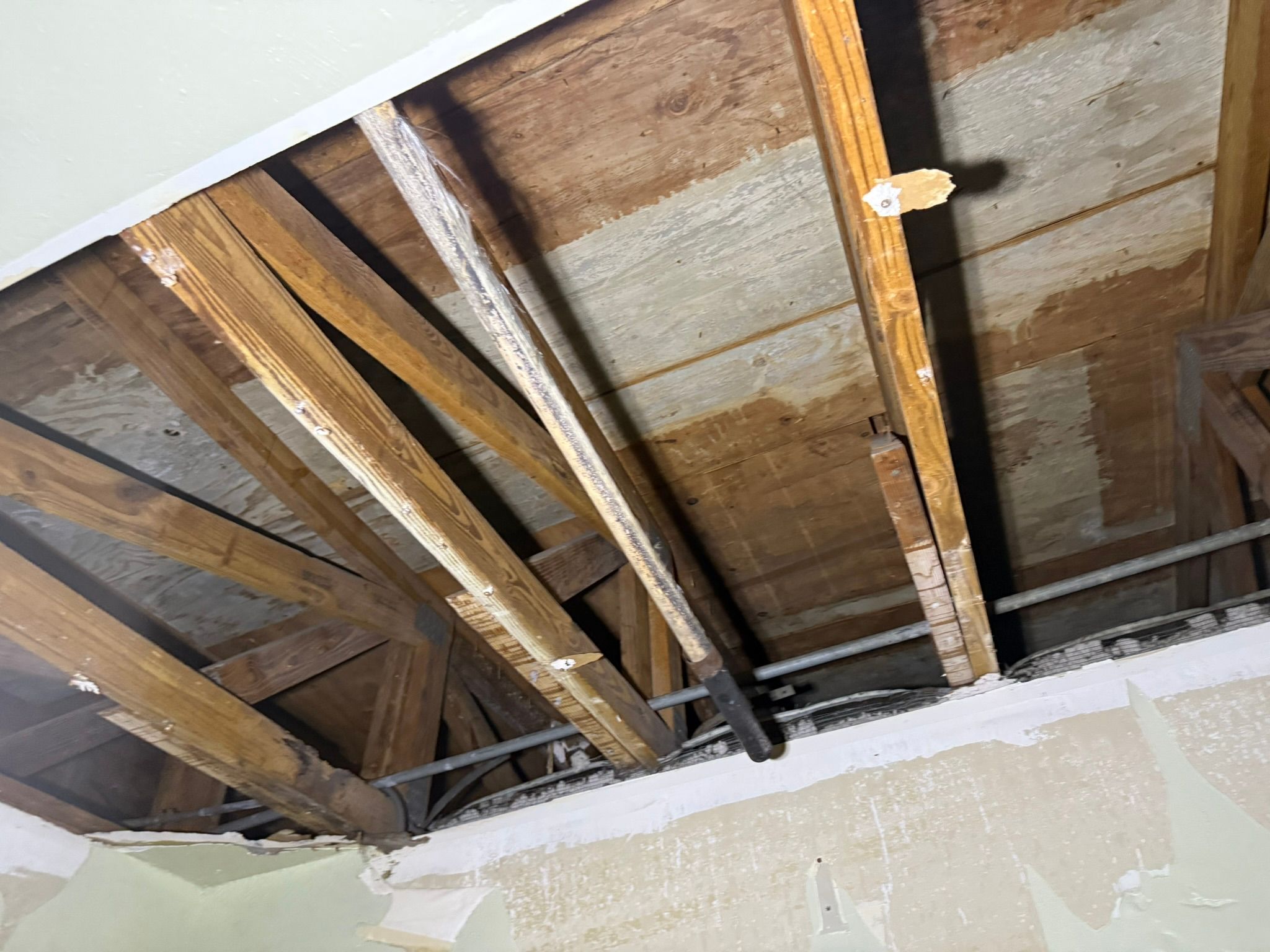  for Surplus Public Adjusters in Miami-Dade County, FL