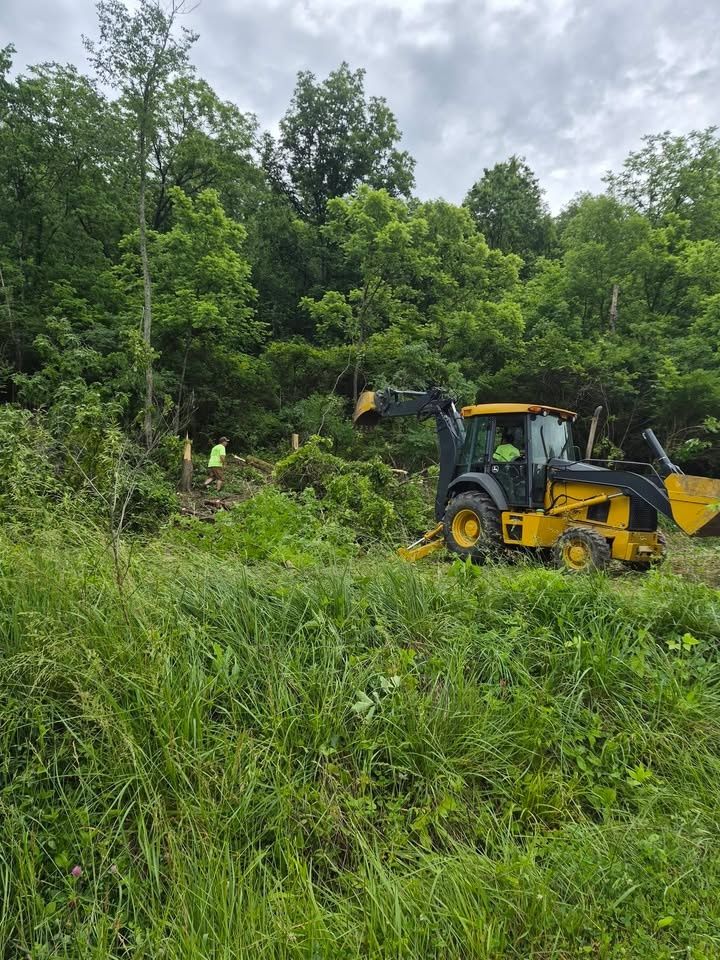  for Carpenter's Tree Service in Aurora, IN