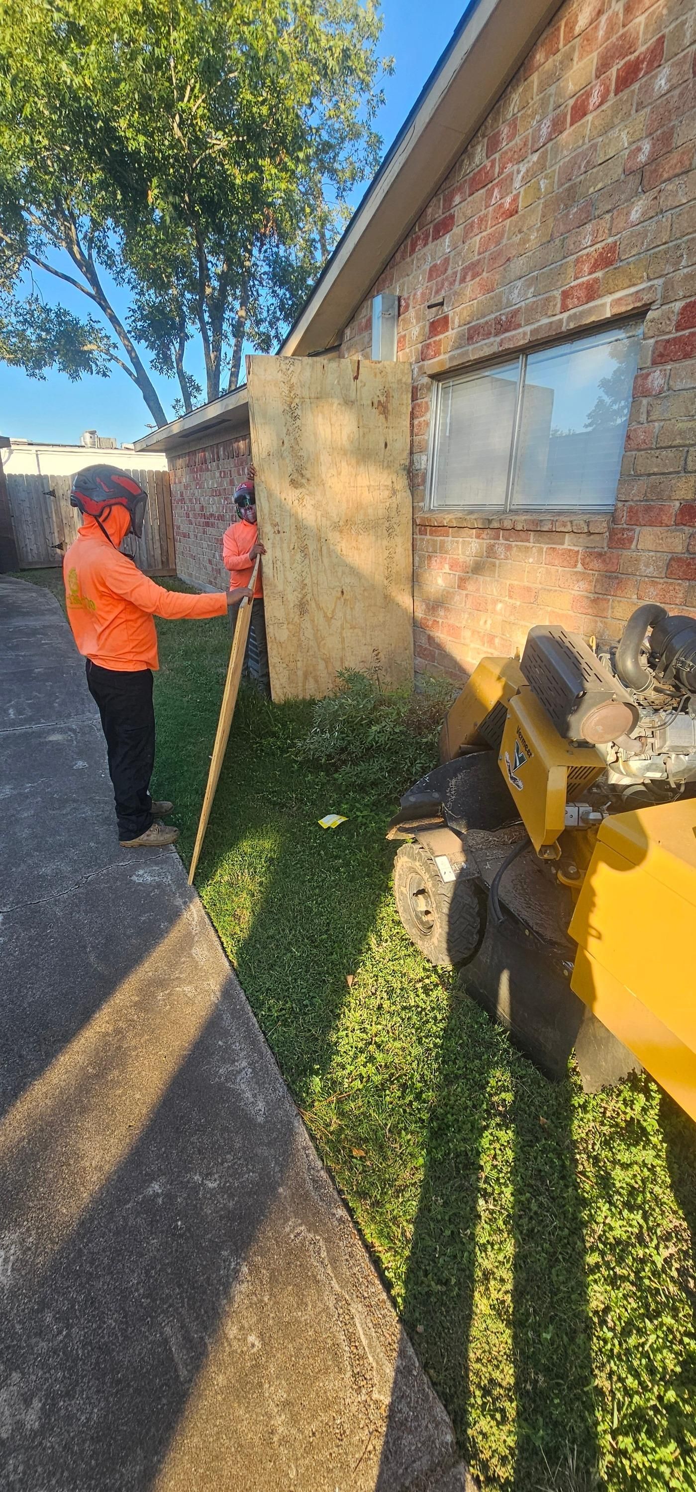  for Servin's Tree Care  in Houston, TX