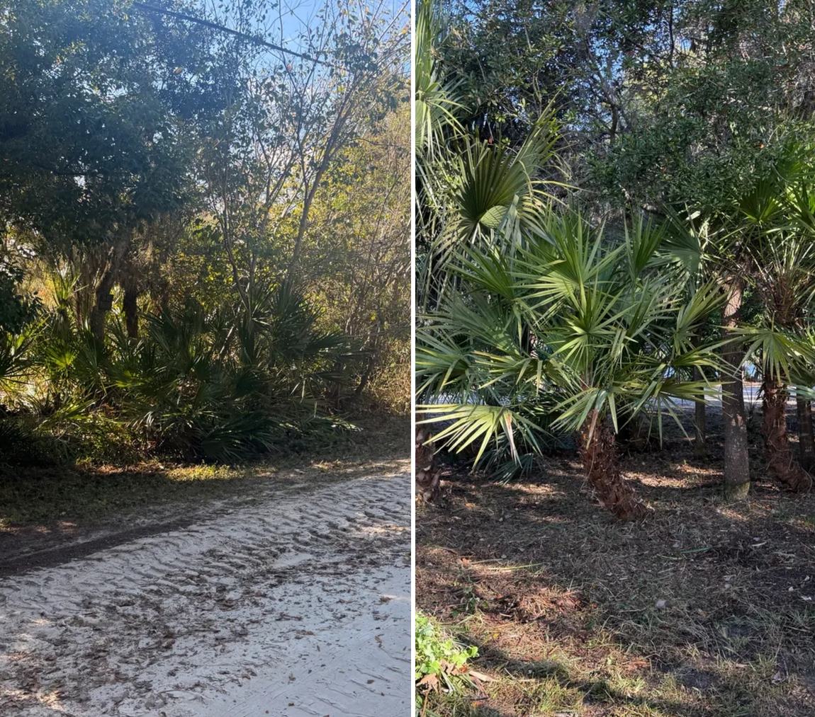  for Amerigrown Tree And Lawn in Apopka, FL