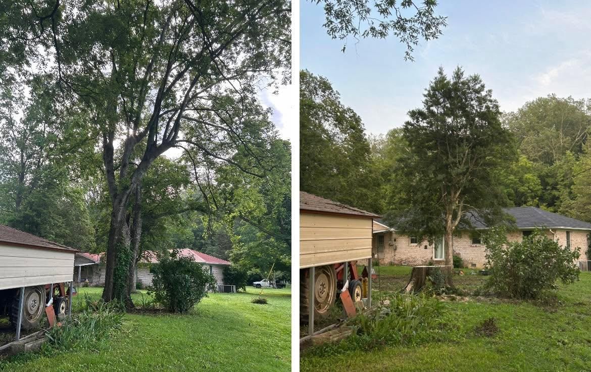  for McBee’s Tree Service in Sewanee, TN