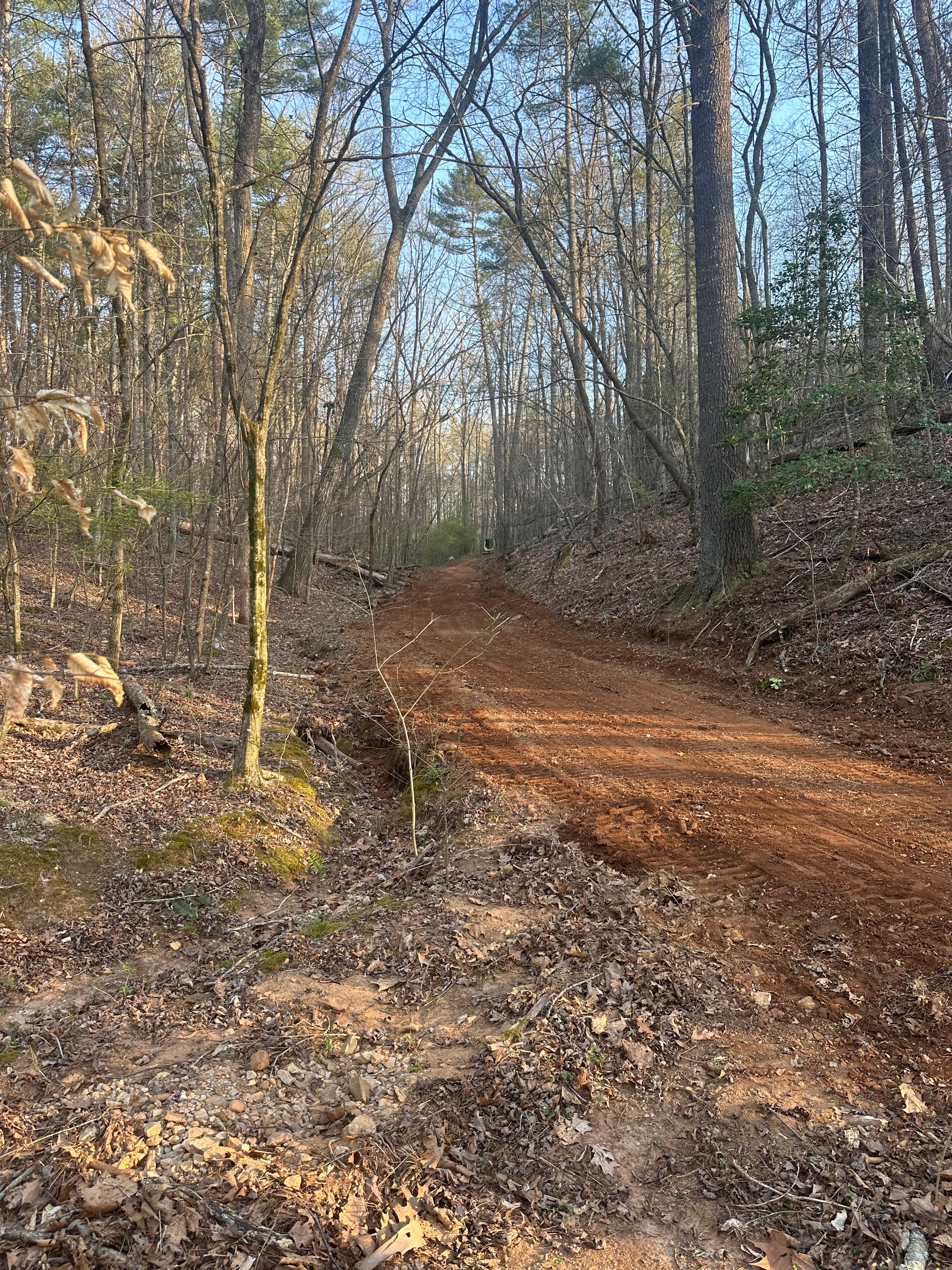  for T Crane Grading LLC in Clarkesville, GA
