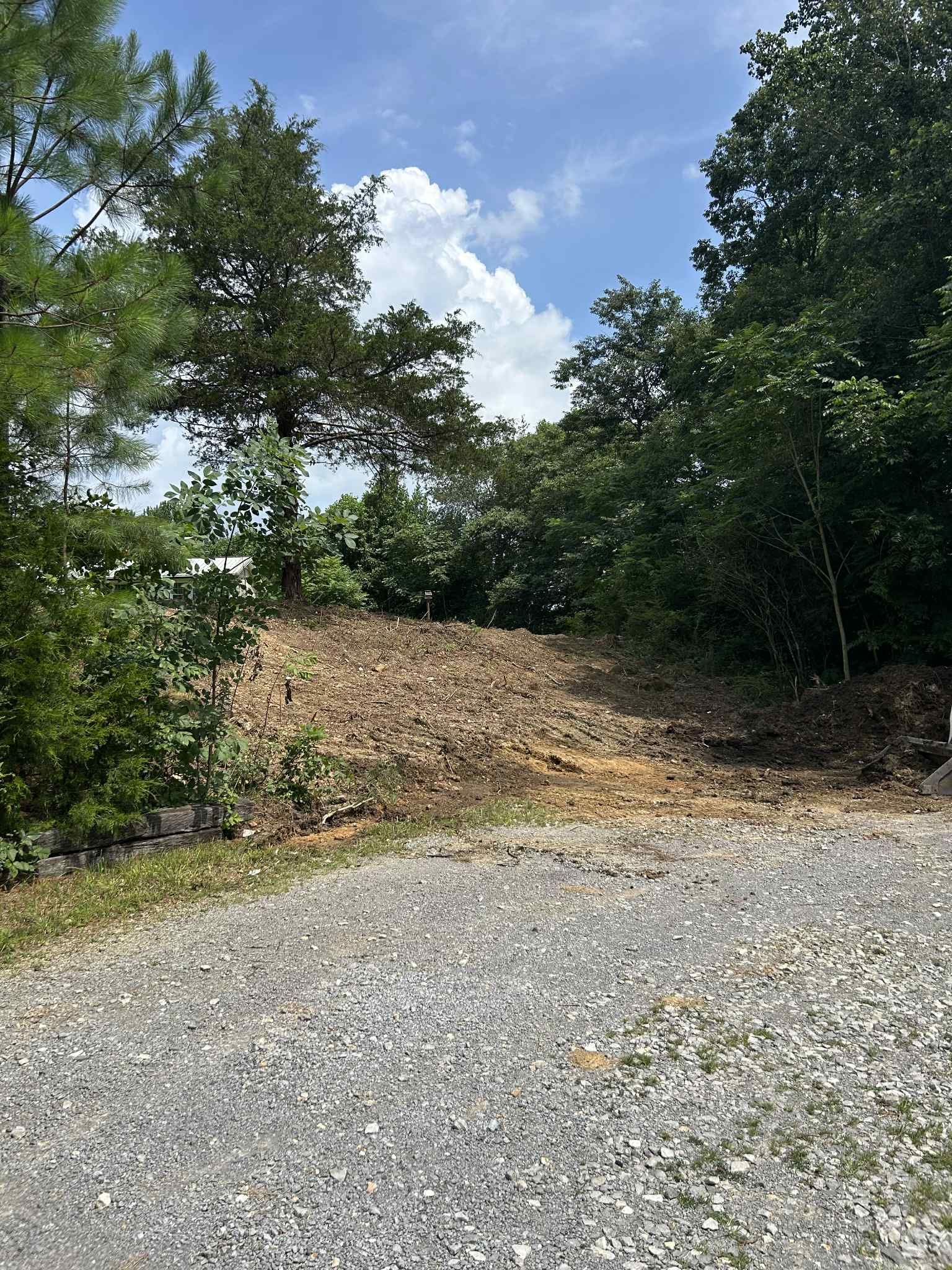  for Z's Land Management & Forestry Mulching in Smithville, TN