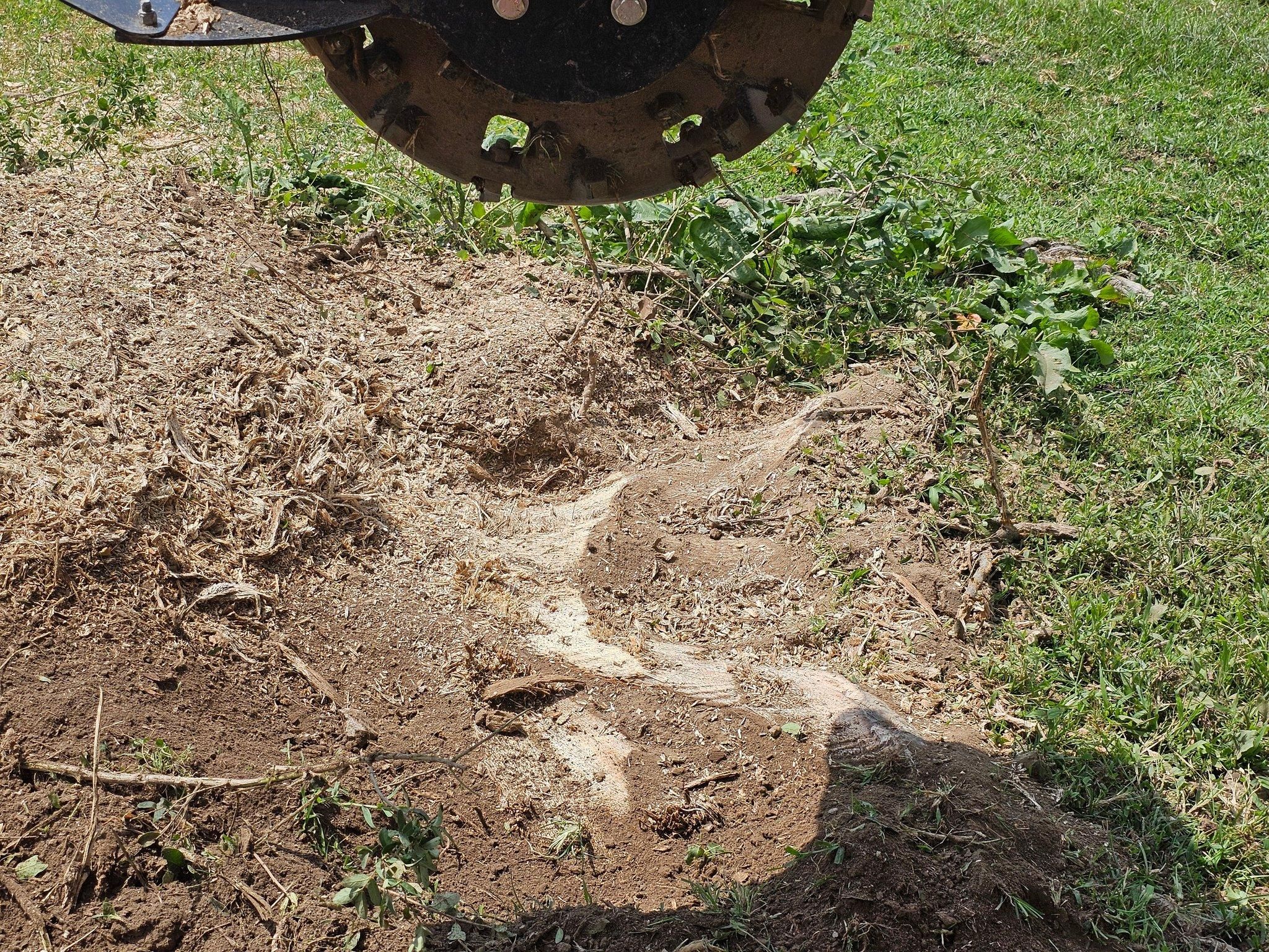  for I and R Stump Grinding in Thornville, OH