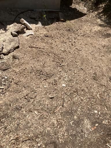  for Camerons Stump Grinding & Tree Services in Austin, TX