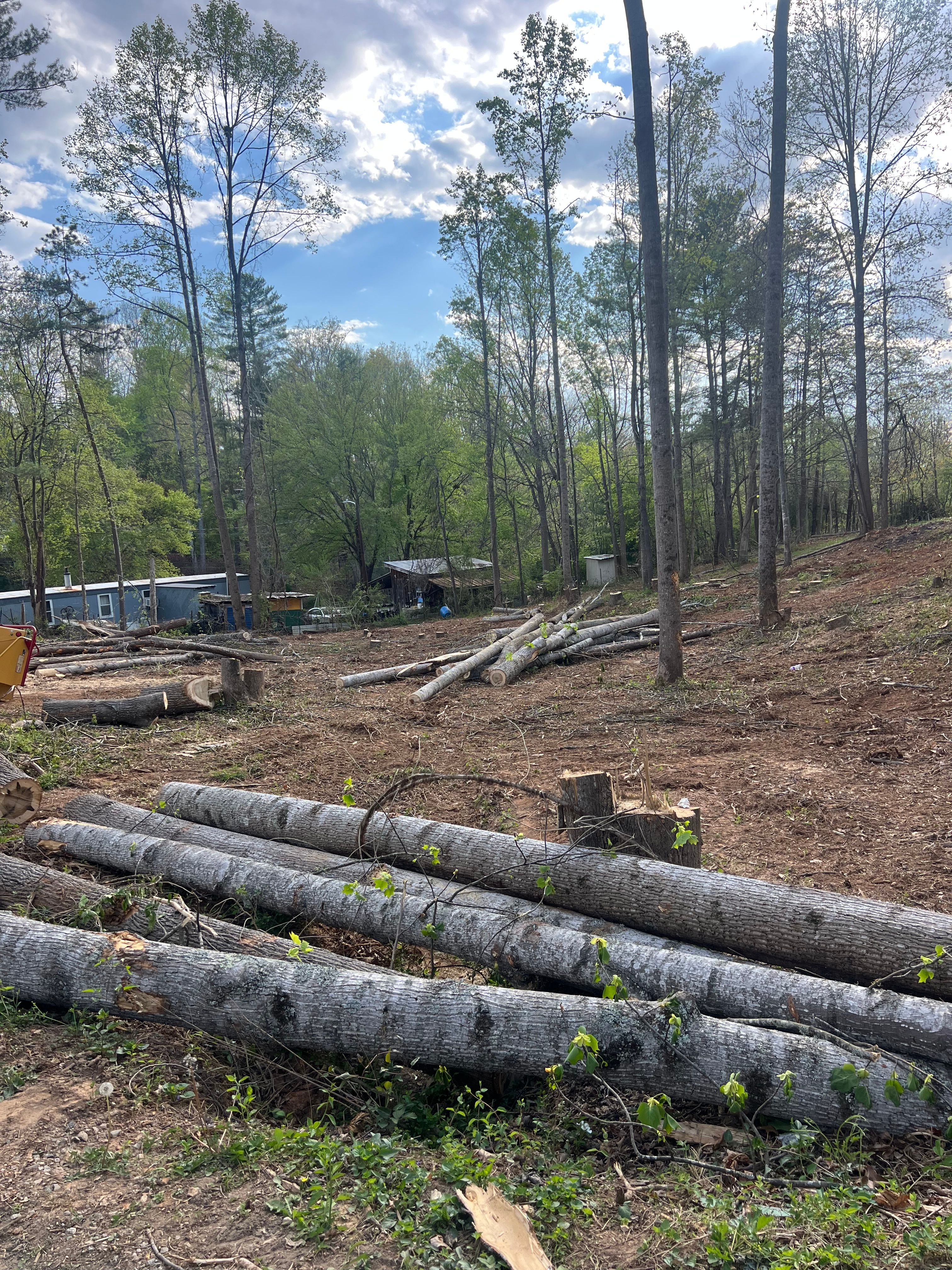  for Ground To Sky Tree Care in Asheville, North Carolina