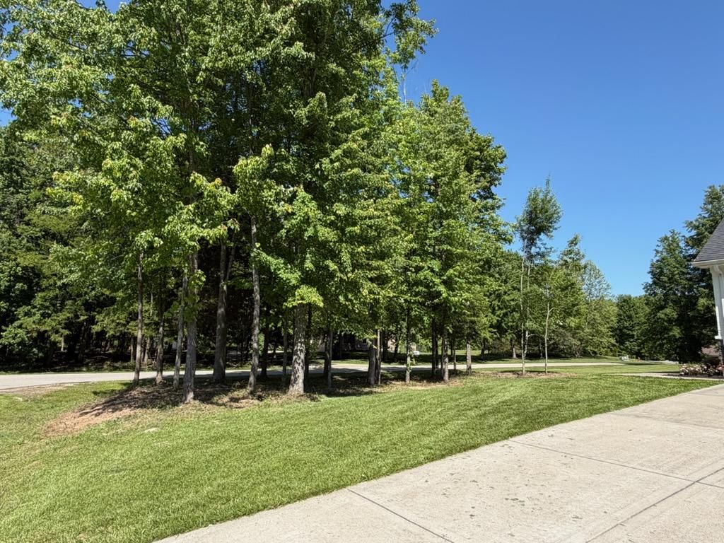  for Anstaetts Tree Service in Batavia, OH