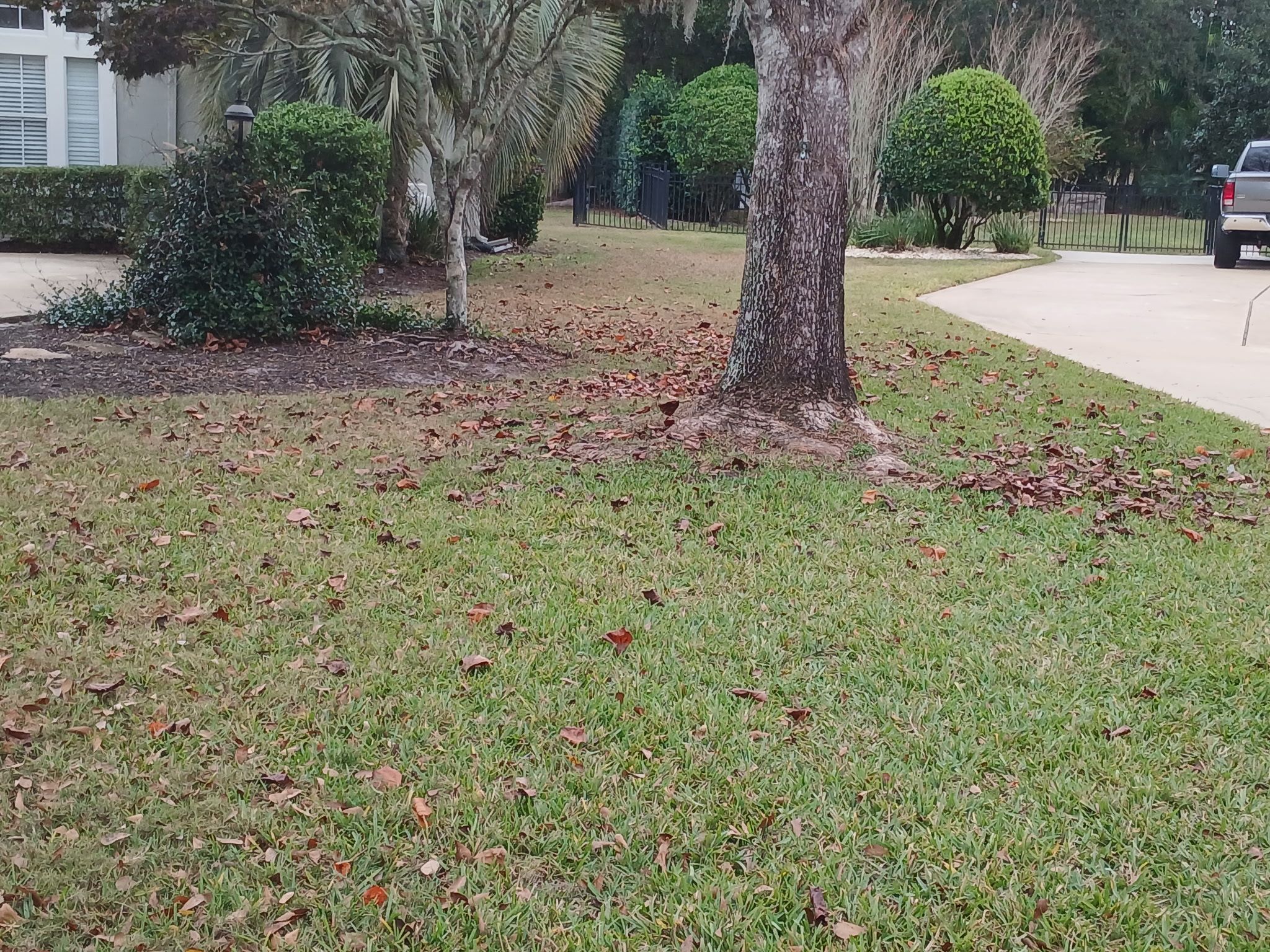  for Whole 9 Yards Services in Green Cove Springs, FL