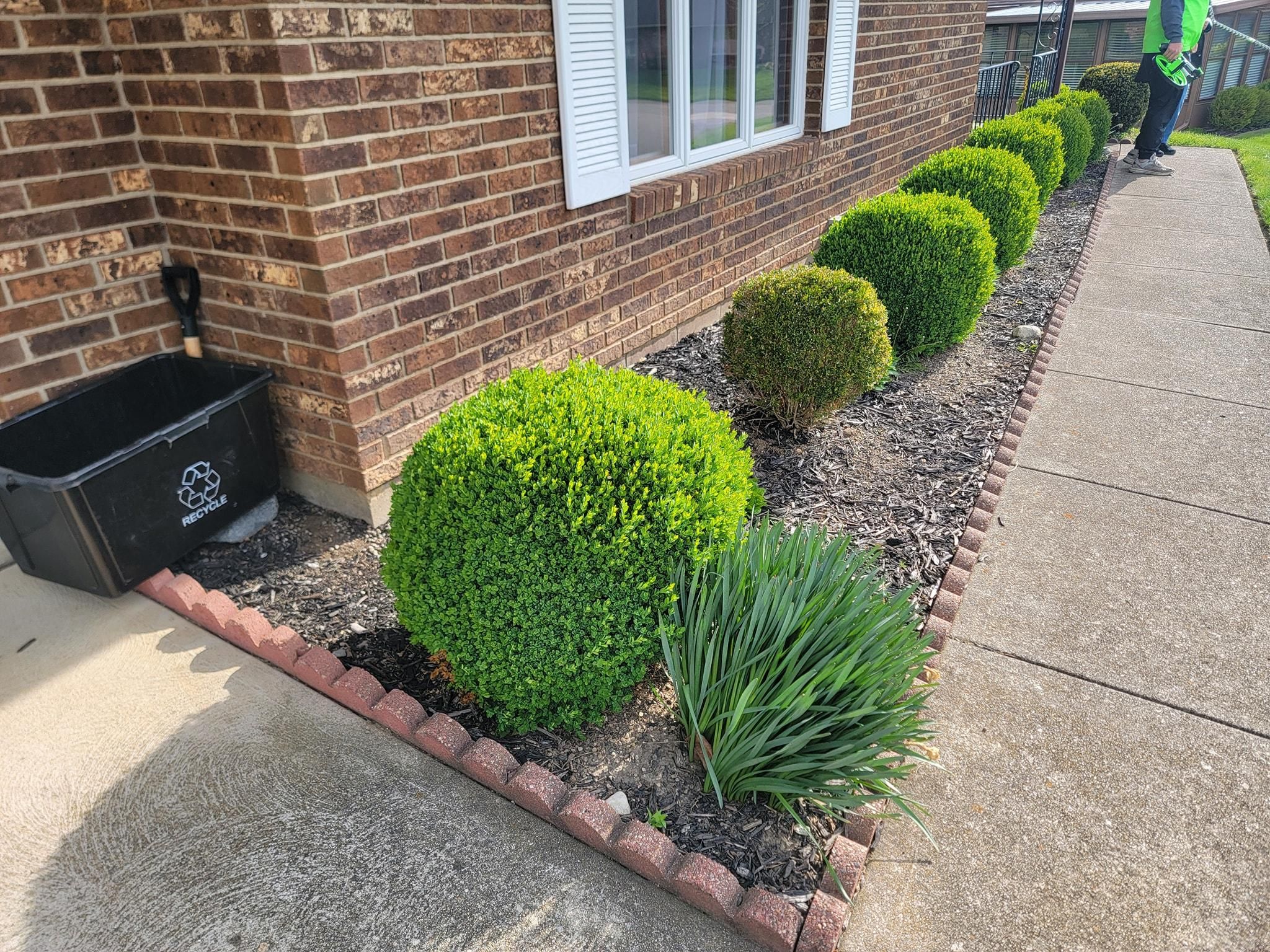 All Photos for Tingley's Green Land Services in Springfield, Ohio