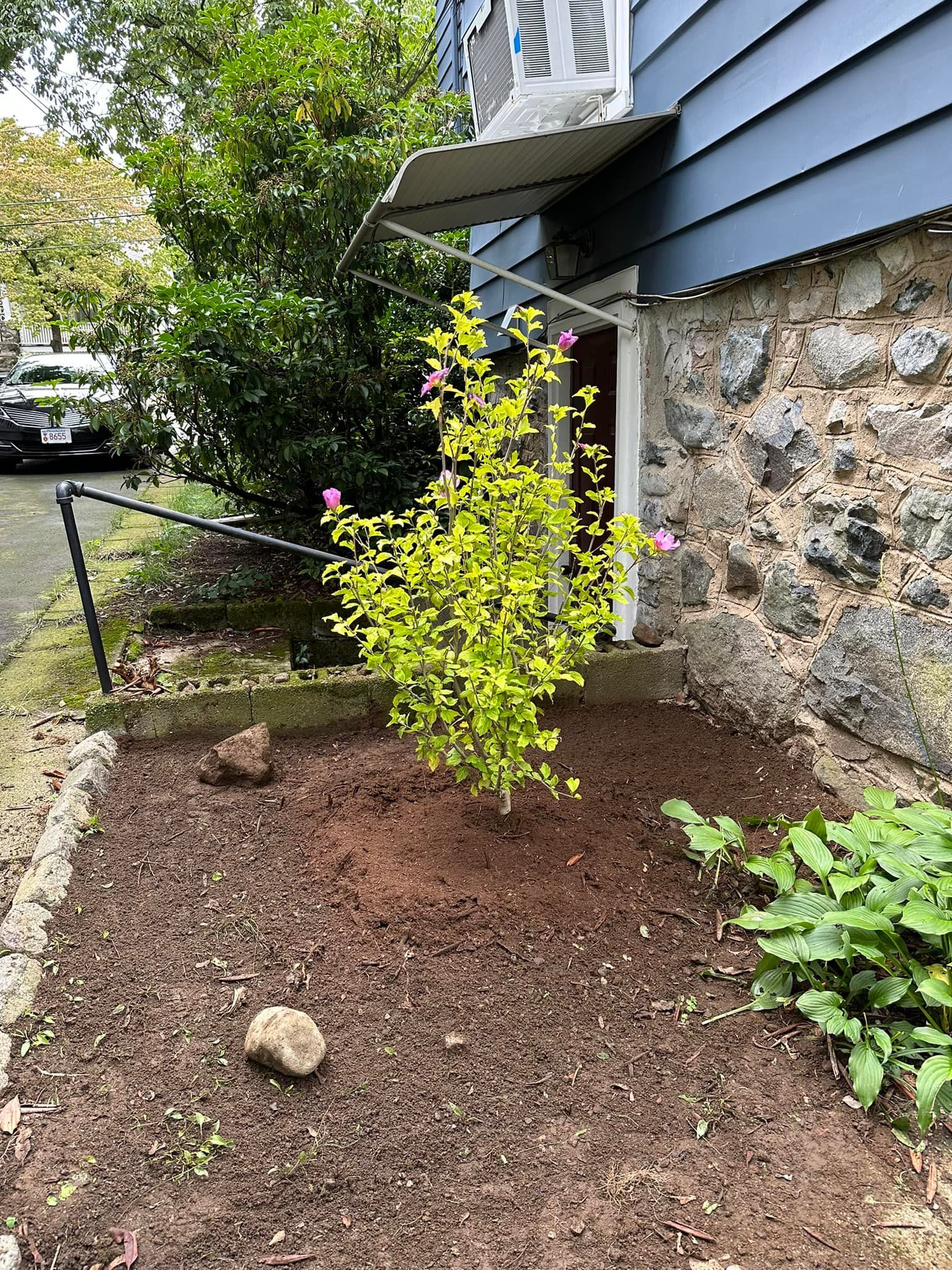  for Saavedra & Sons Landscaping in Waltham, MA