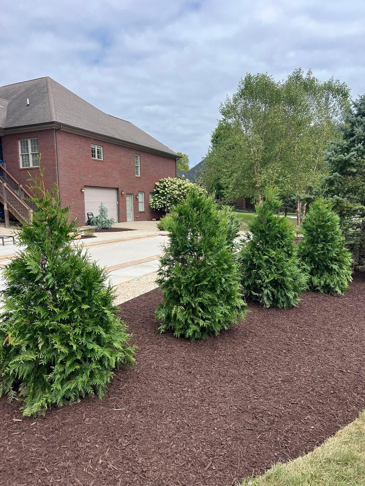  for Full Service Landscaping in Louisville, KY