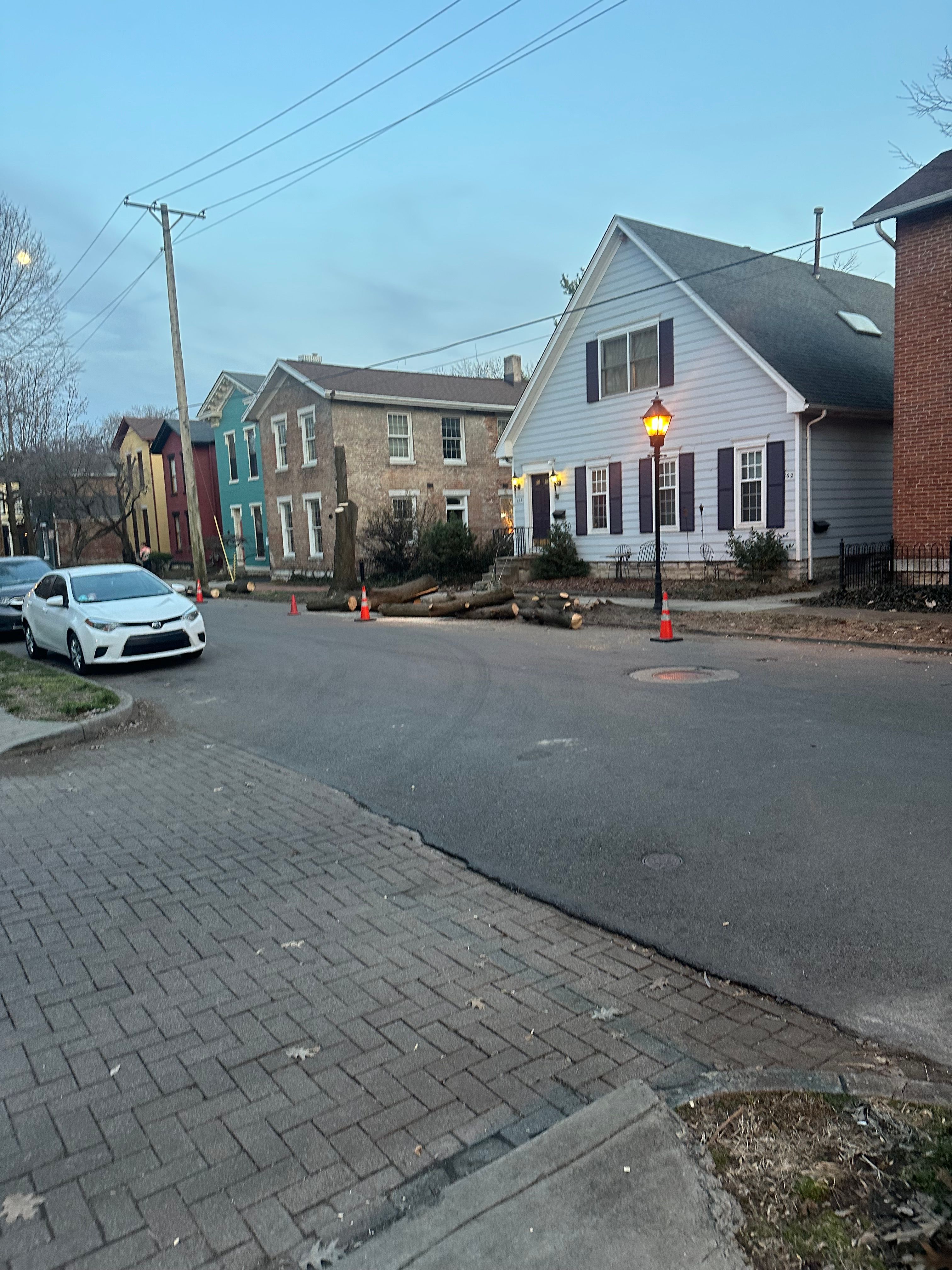 All Photos for Pro Tree Trim & Removal, Llc in Dayton, OH