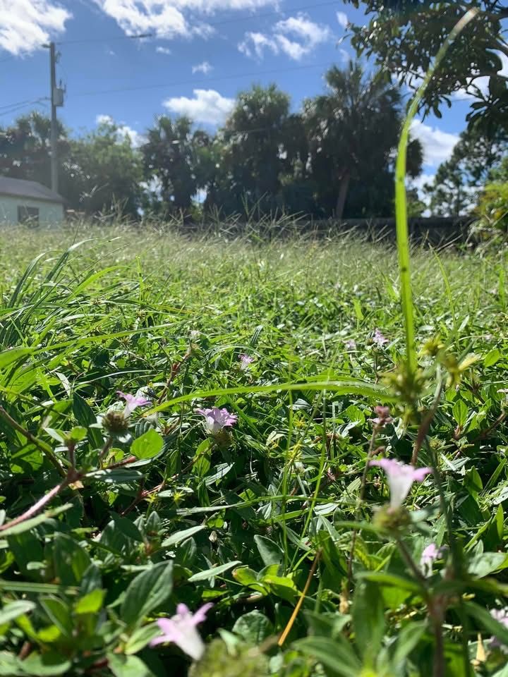  for Space Coast Property Maintenance and Management LLC in Melbourne, FL