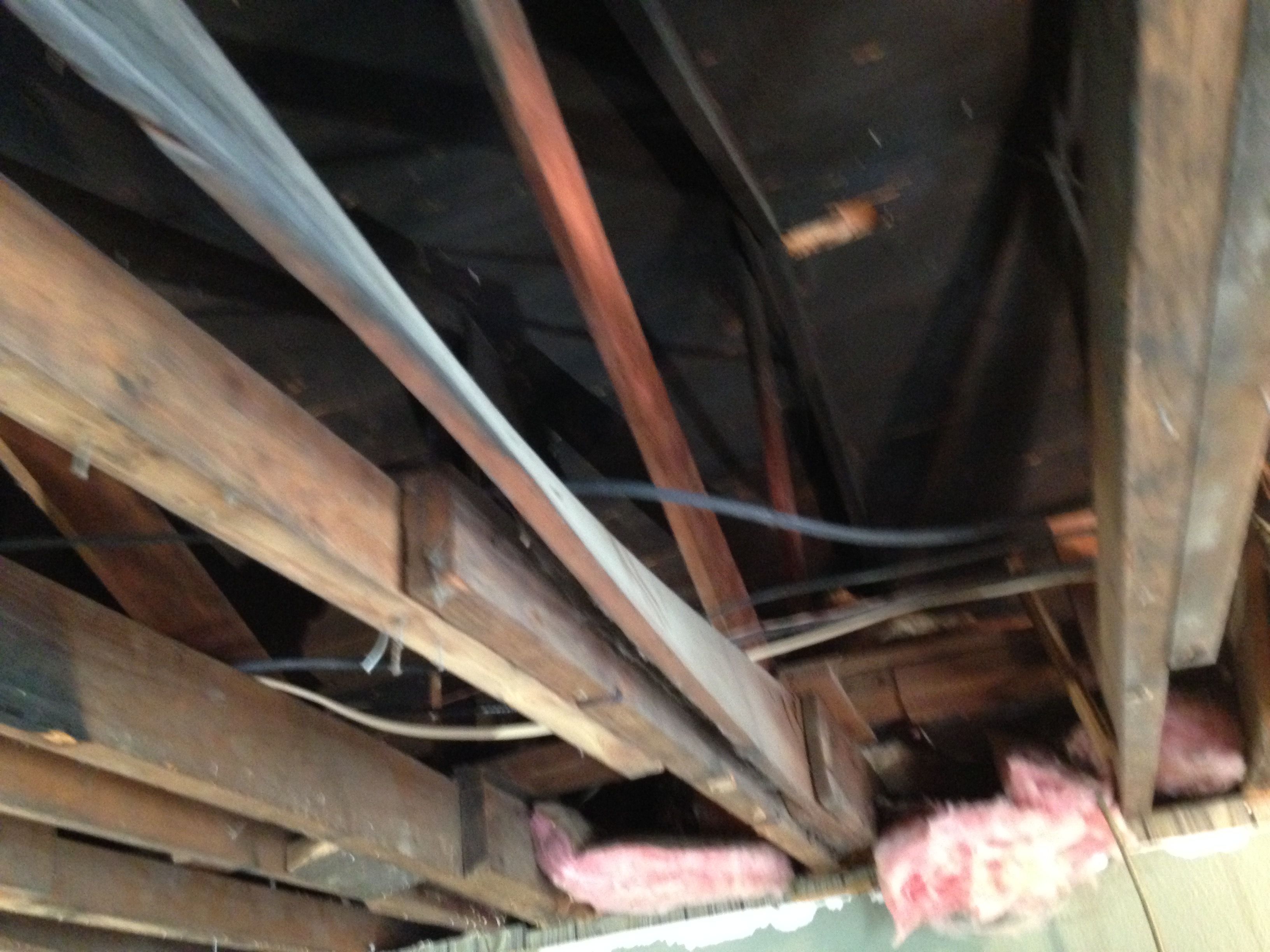 All Photos for CSI of Chicago in Chicago, IL