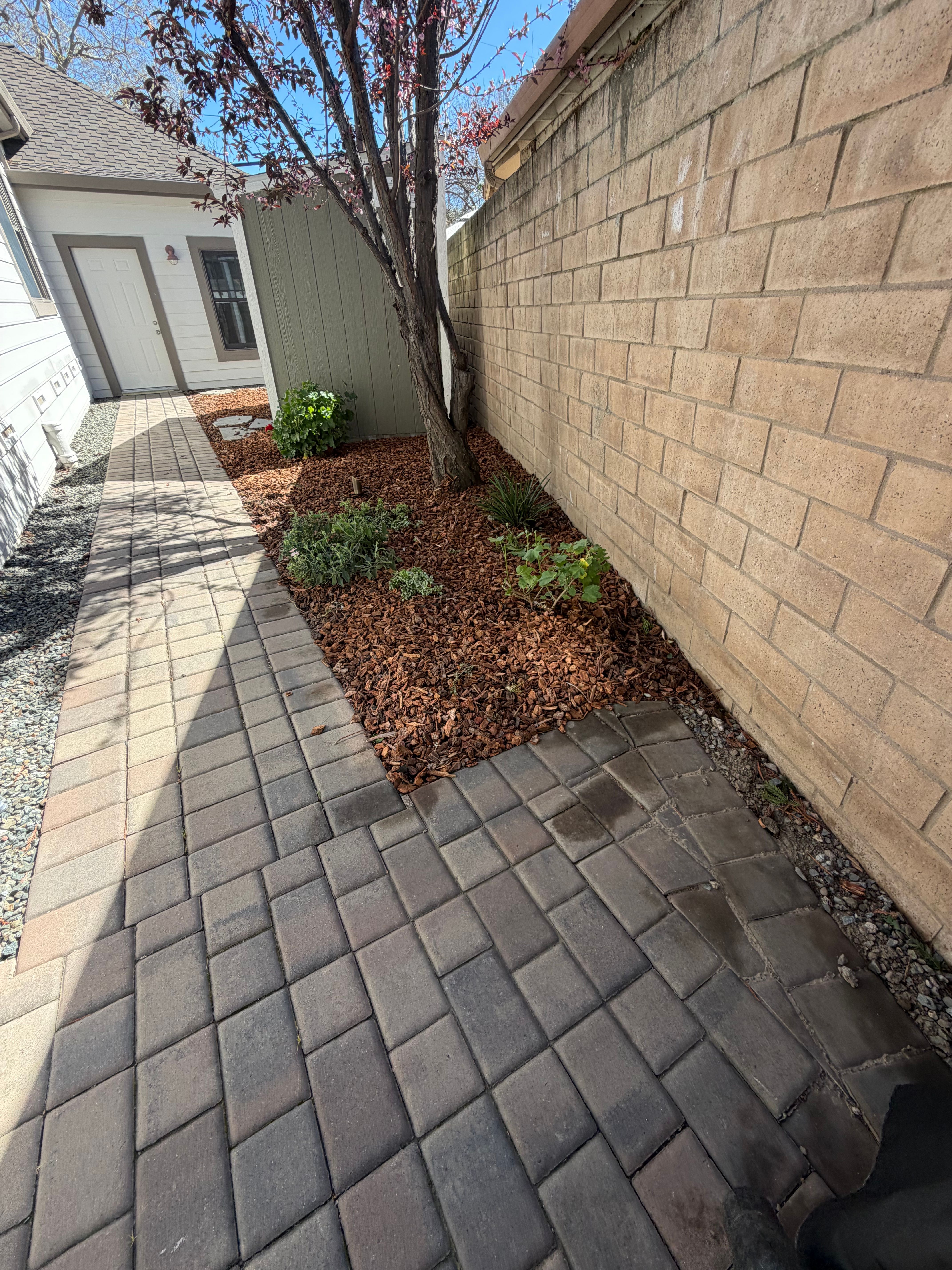  for CBA Landscaping in Hayward, CA